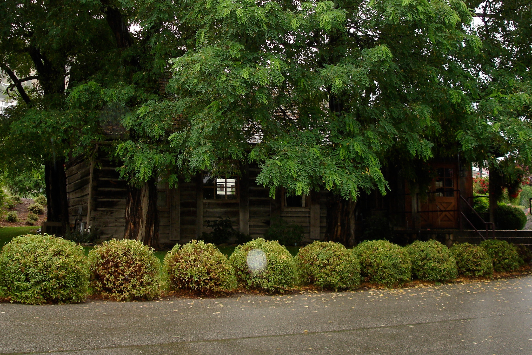 Sony DSC-W7 sample photo. Orbs photography