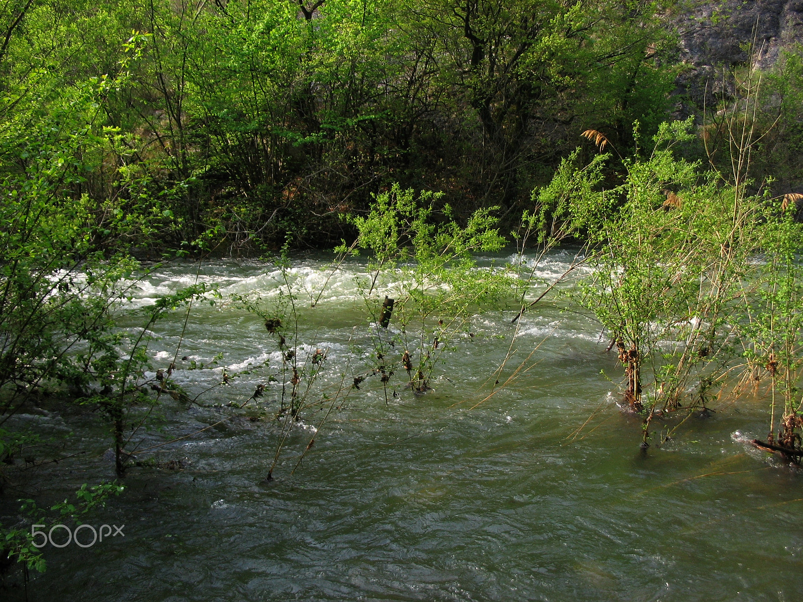 Canon POWERSHOT A85 sample photo. Black river spring morning photography