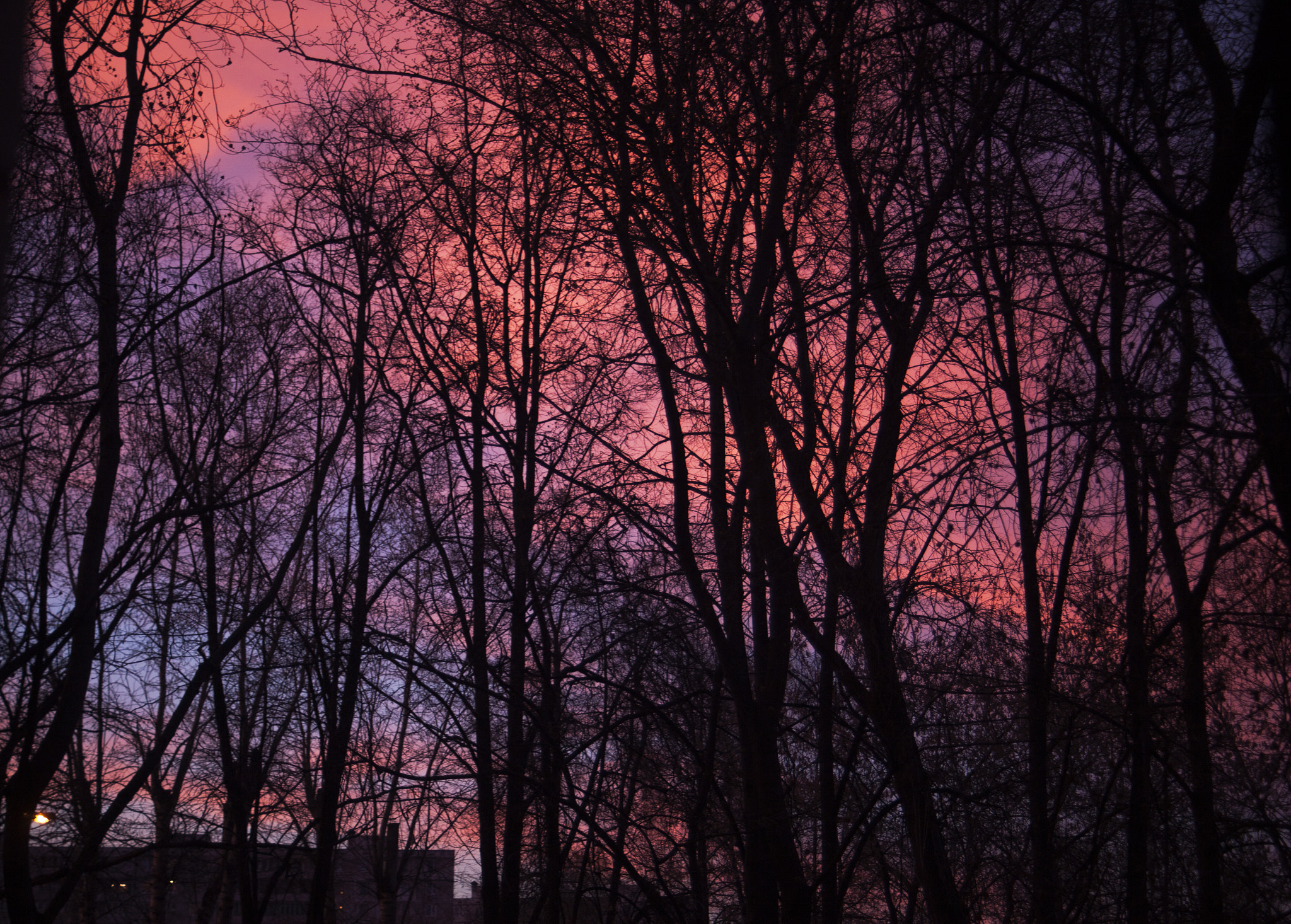 Canon EF 28-70mm f/3.5-4.5 sample photo. Spring sunset photography
