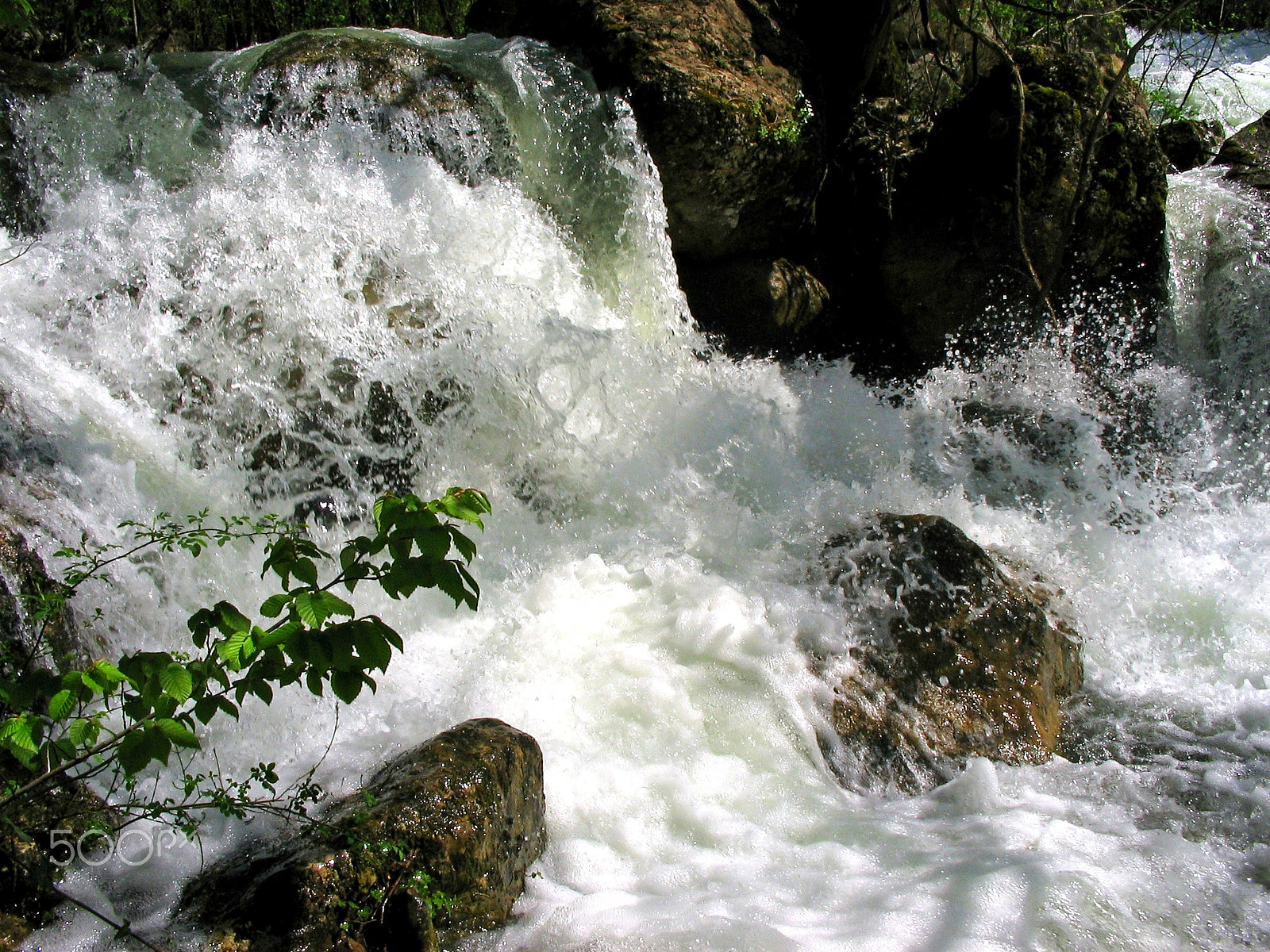 Canon POWERSHOT A85 sample photo. Branch and water photography