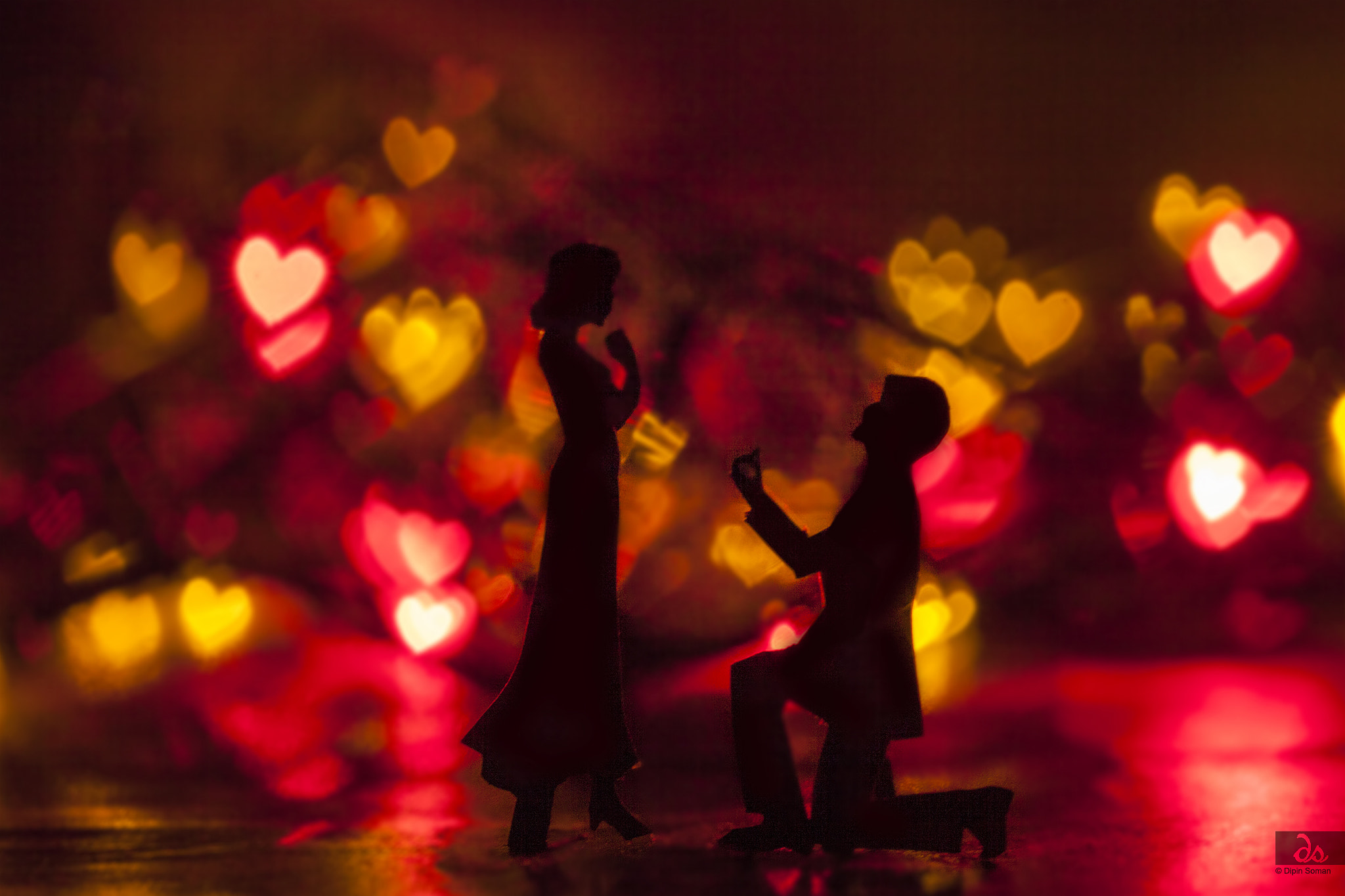 Sigma 105mm F2.8 EX DG OS HSM sample photo. Will you marry me? photography