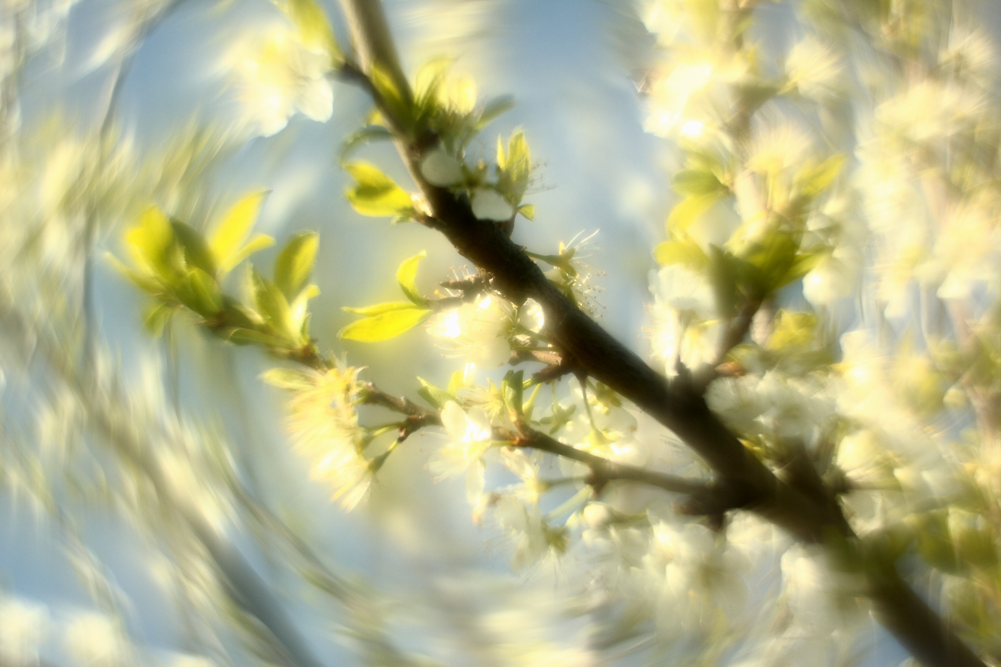 Canon 1-65535mm sample photo. Tourbillonnant comme un zénith petzval photography