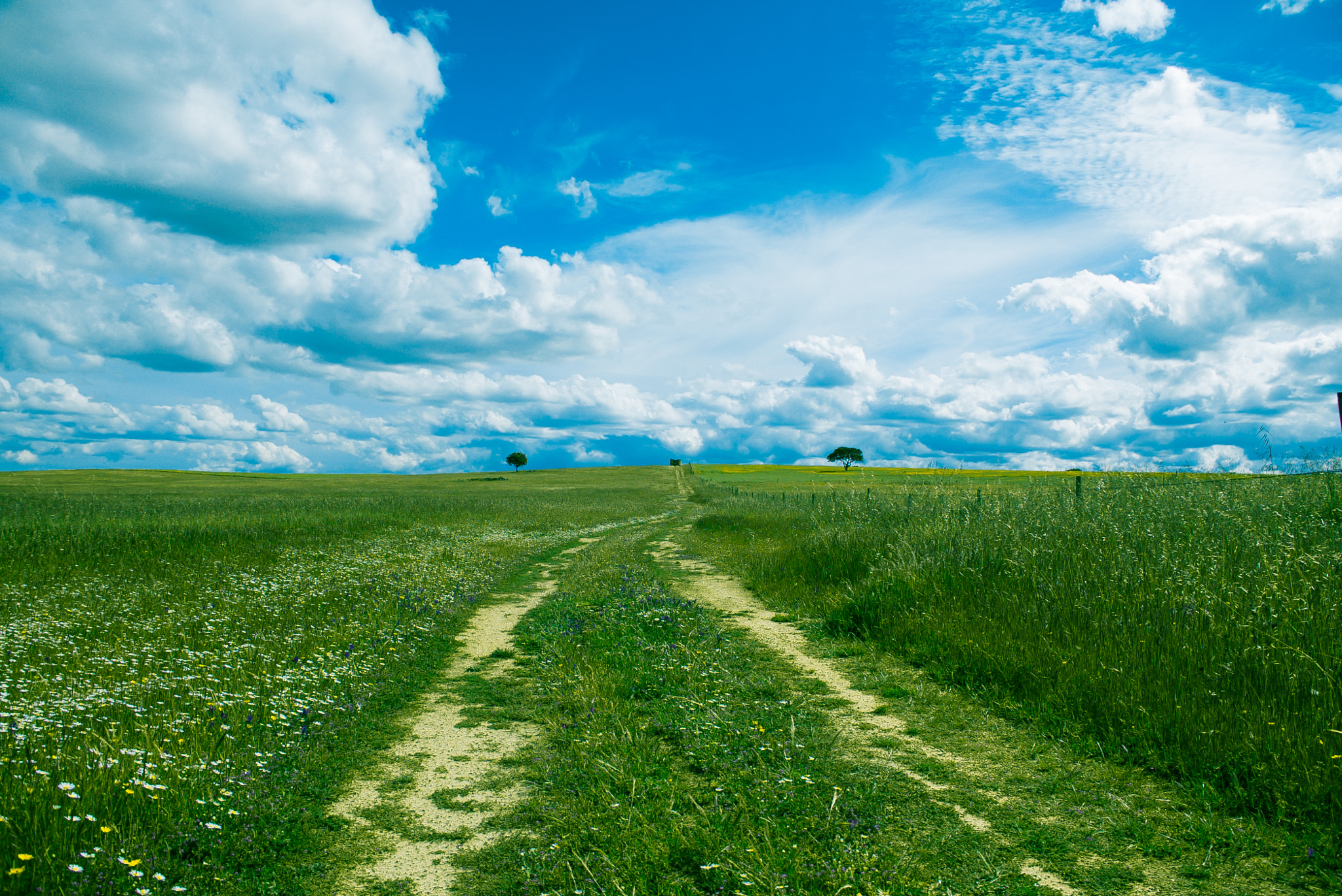 Sony a7S sample photo. Road mill photography