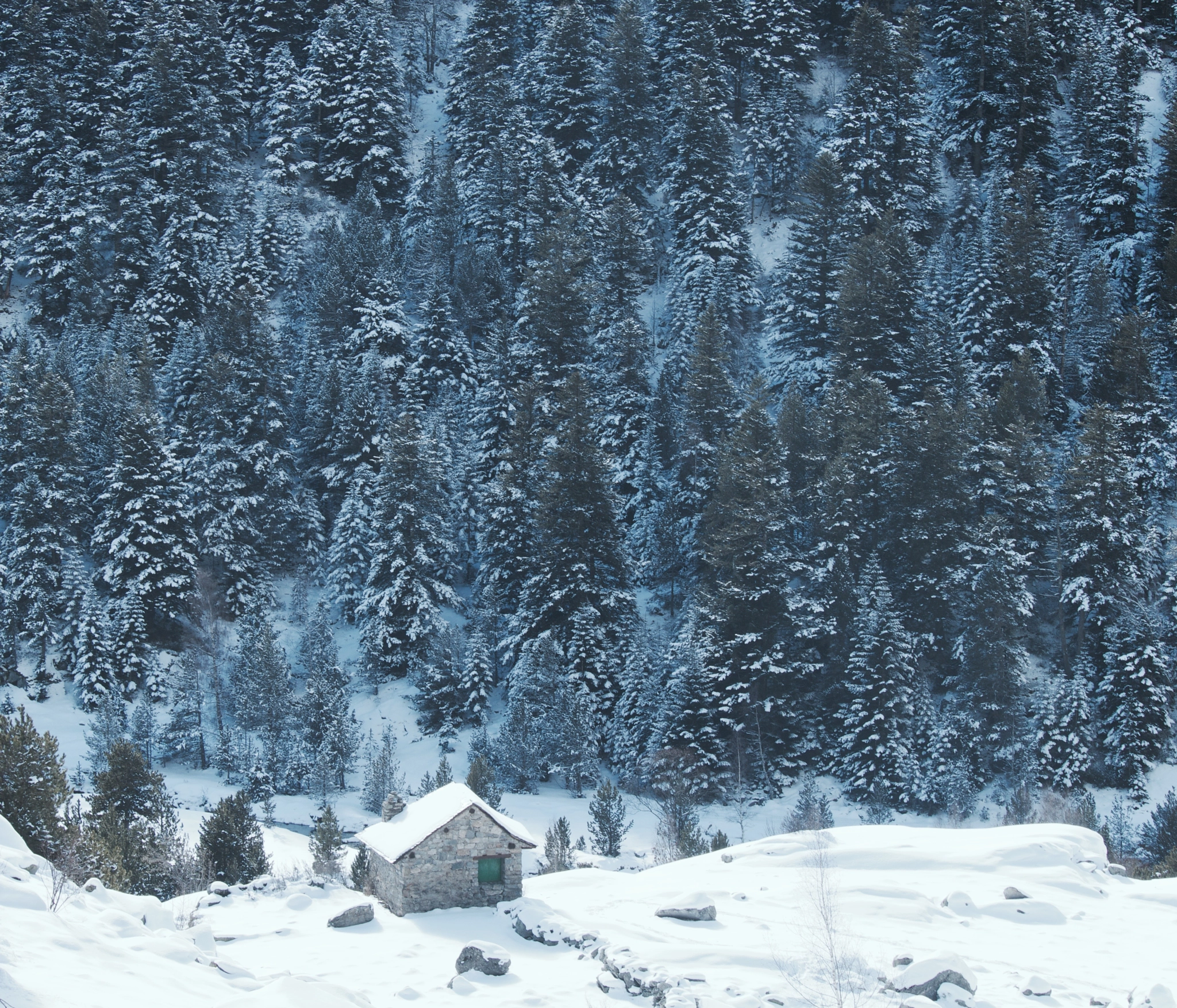 Canon EOS M sample photo. Forest cabin photography