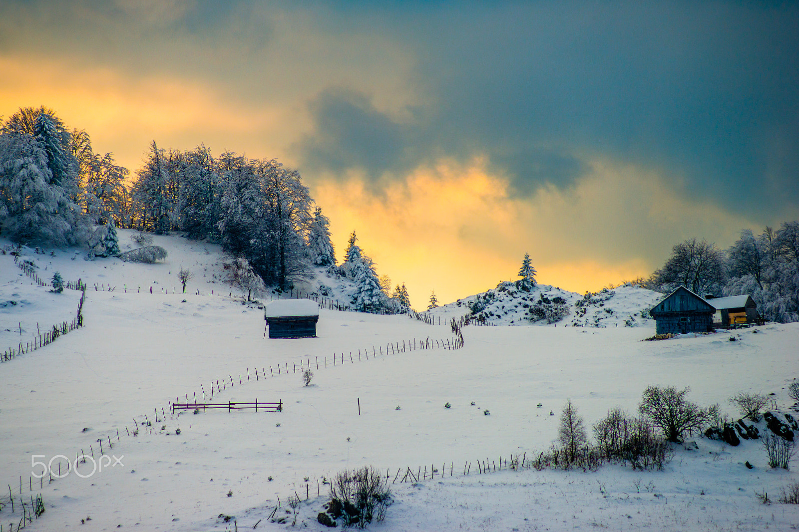 Sony 75-300mm F4.5-5.6 sample photo. Winter tale photography