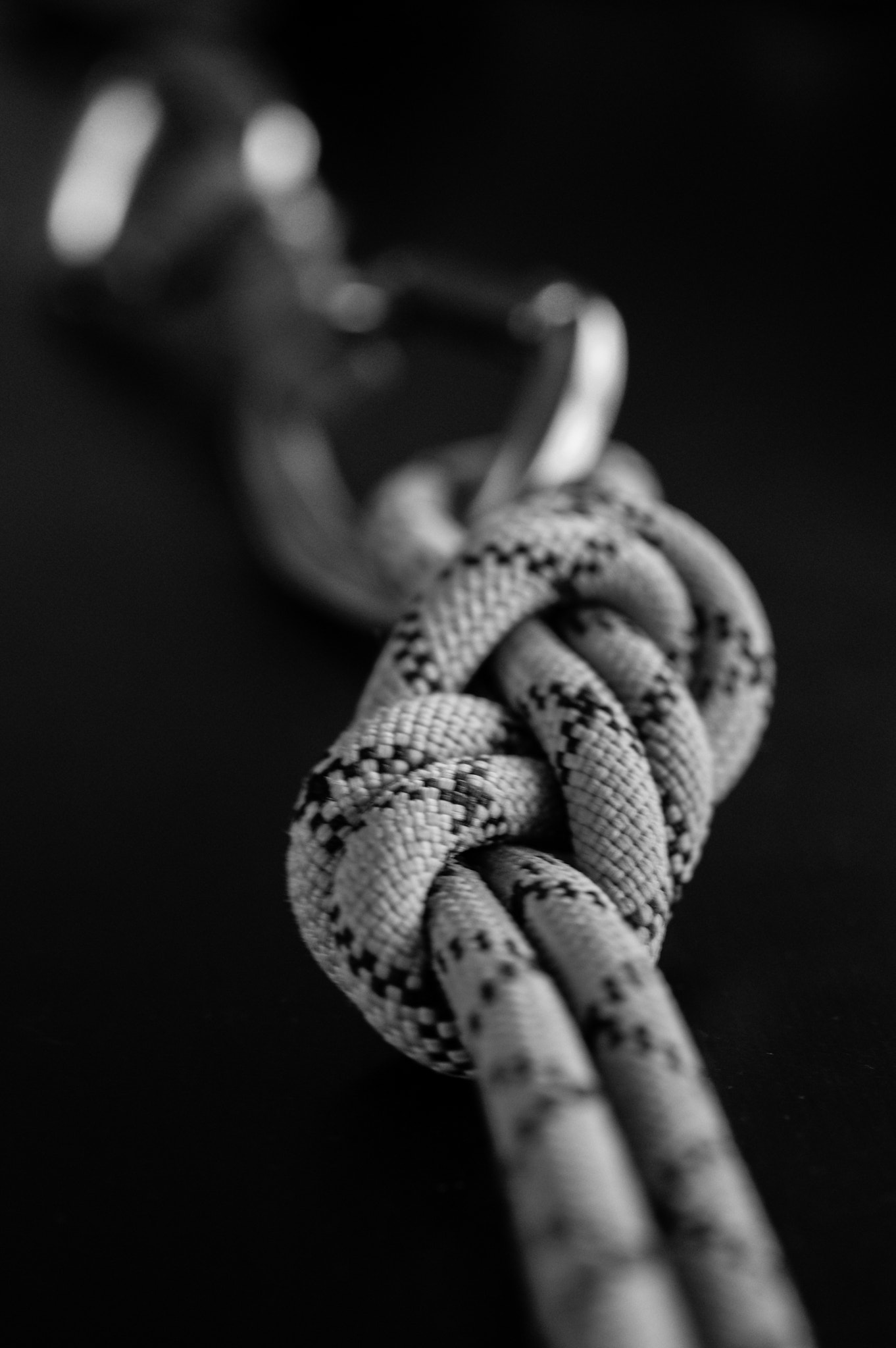 smc PENTAX-F MACRO 50mm F2.8 sample photo. Do knot photography