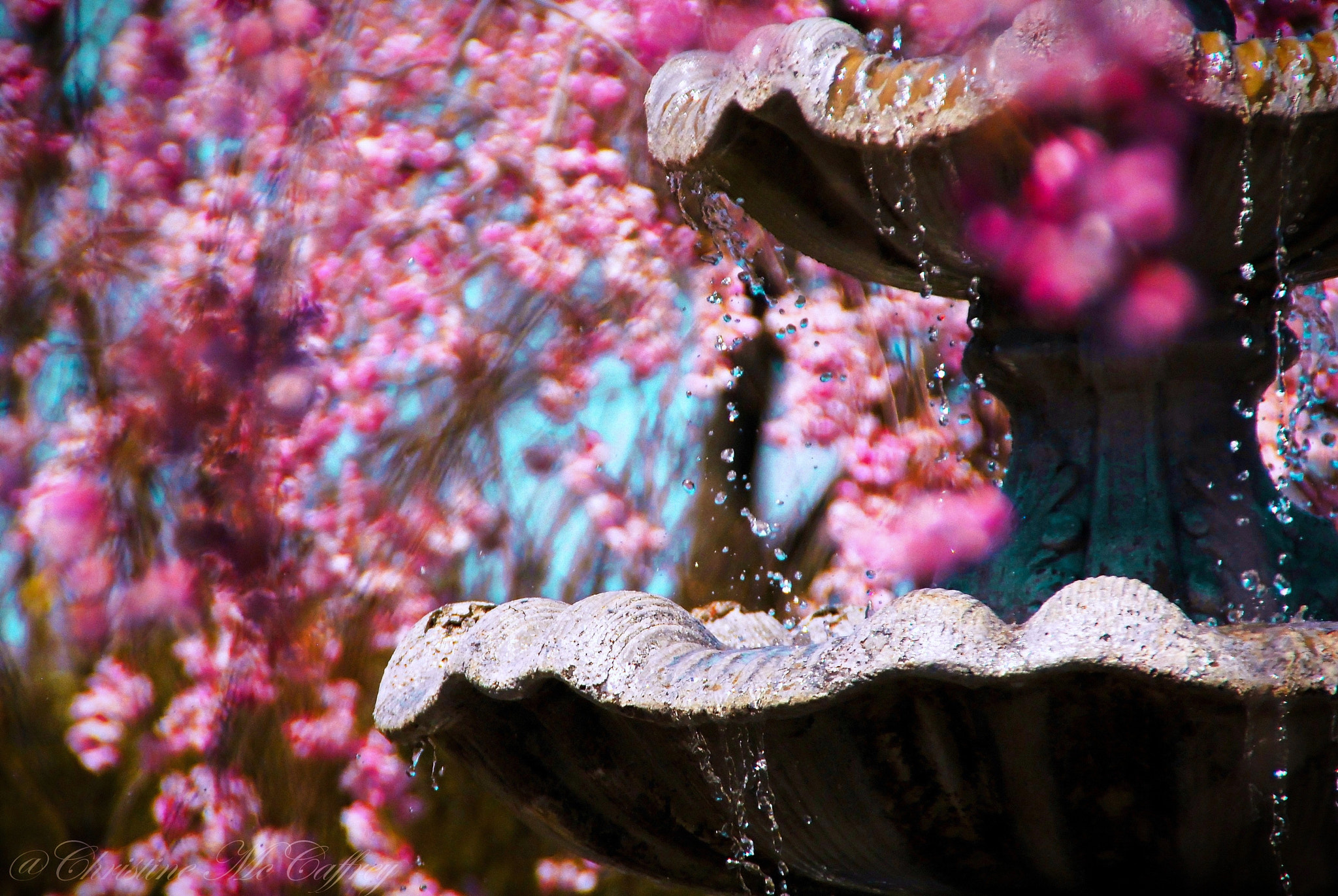 Nikon D200 sample photo. Fountain of content photography