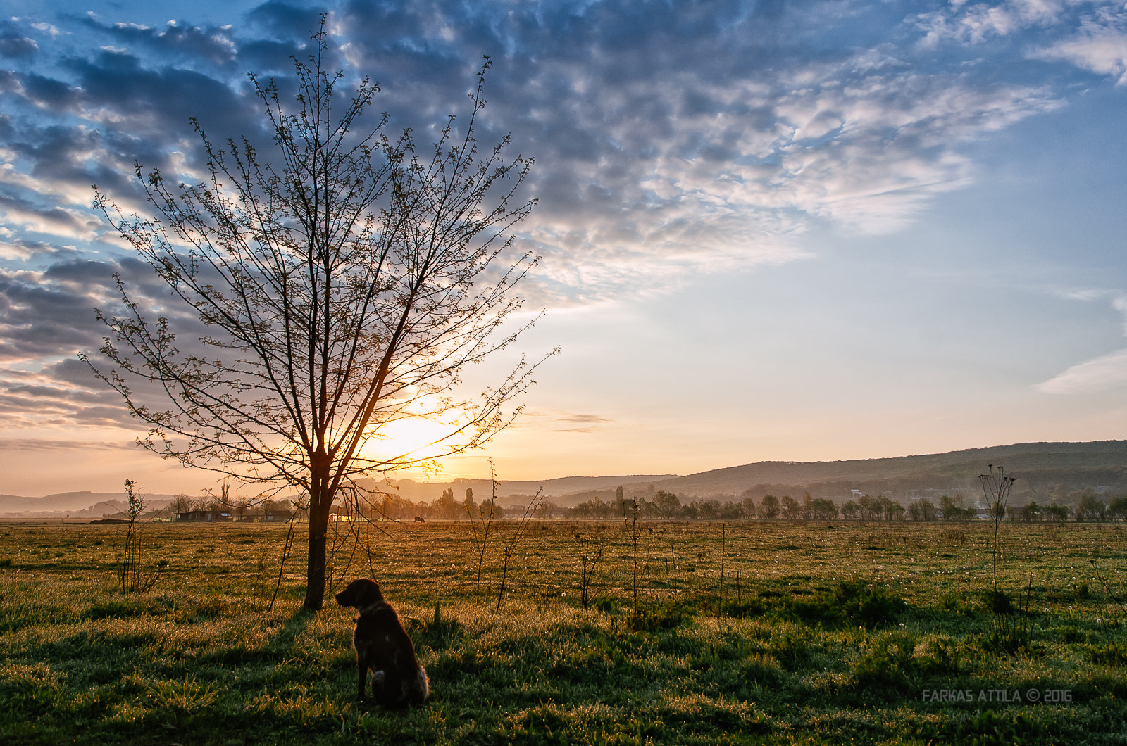Nikon D60 sample photo. Sunrise in april... photography