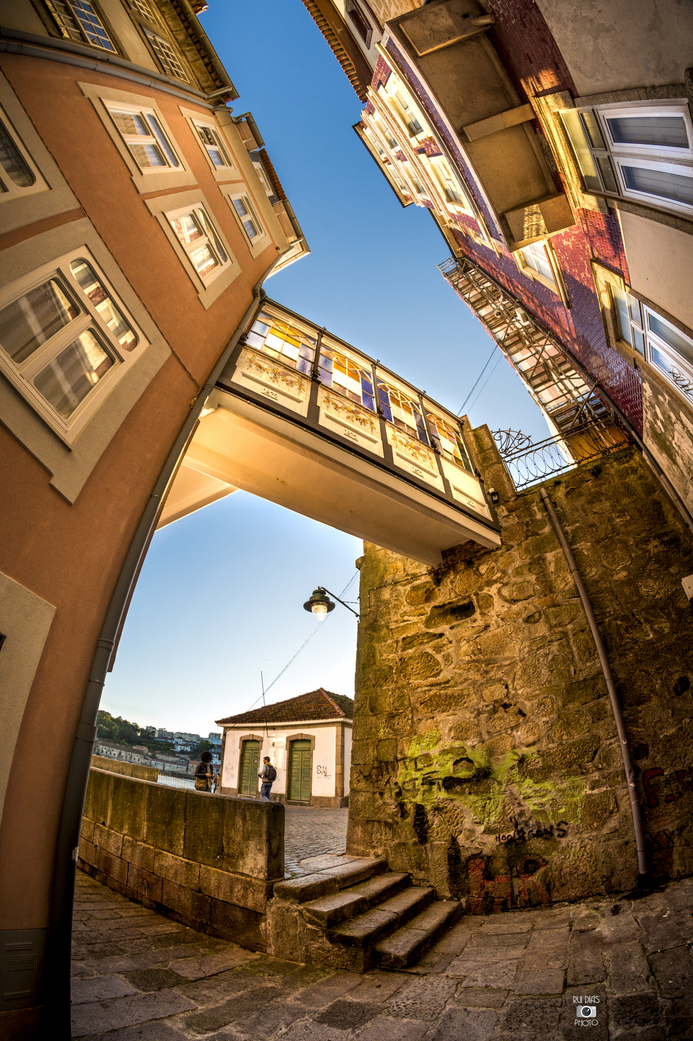 Nikon D7200 + Samyang 8mm F3.5 Aspherical IF MC Fisheye sample photo. Tiny shift of perspective photography