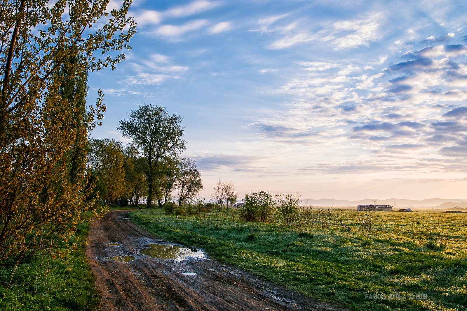 Nikon D60 sample photo. April morning... photography