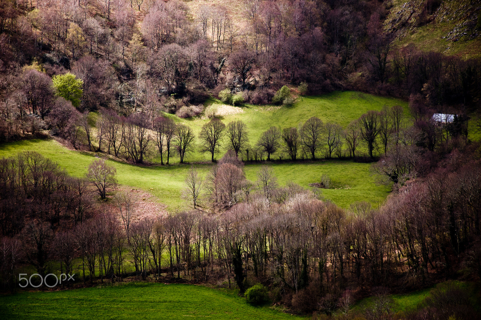 Nikon D50 sample photo. Spring brings always this lightness of being photography