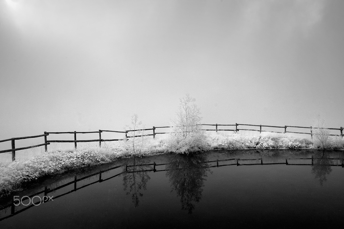 Nikon D70s sample photo. Mountain pasture photography