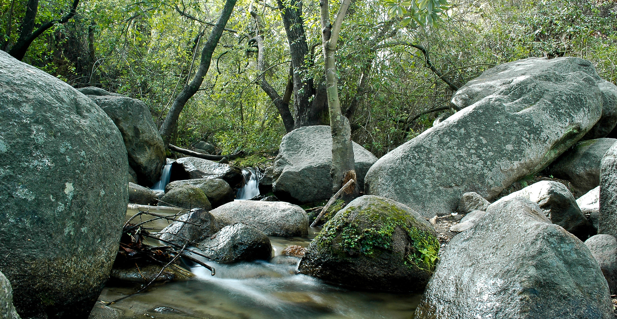 Nikon D70 sample photo. Fotobook photography