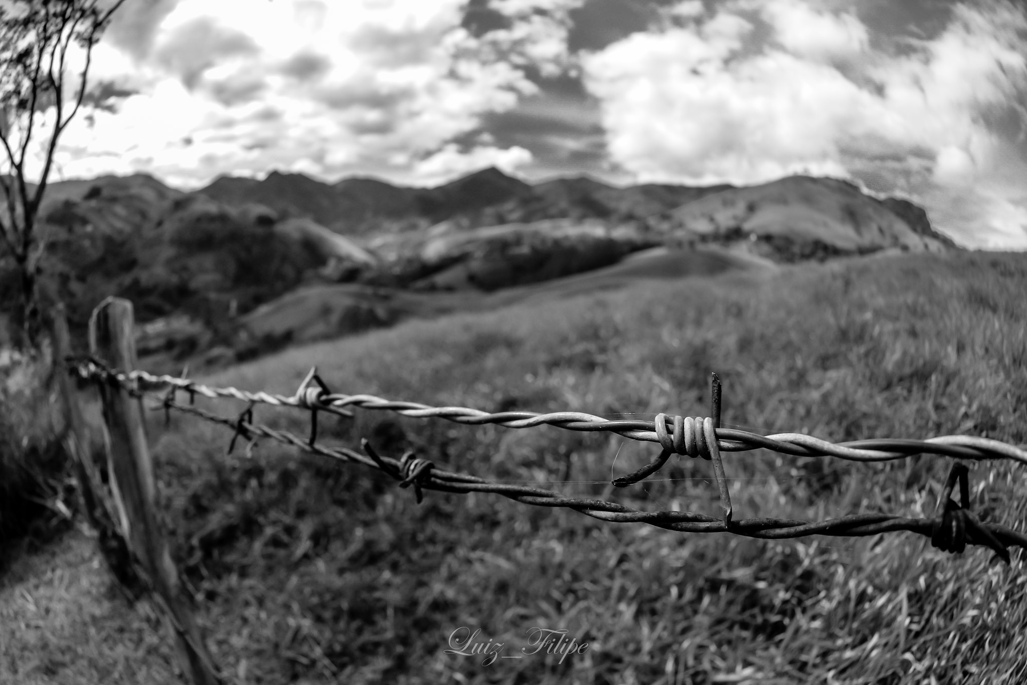 Nikon AF DX Fisheye-Nikkor 10.5mm F2.8G ED sample photo. Fence photography