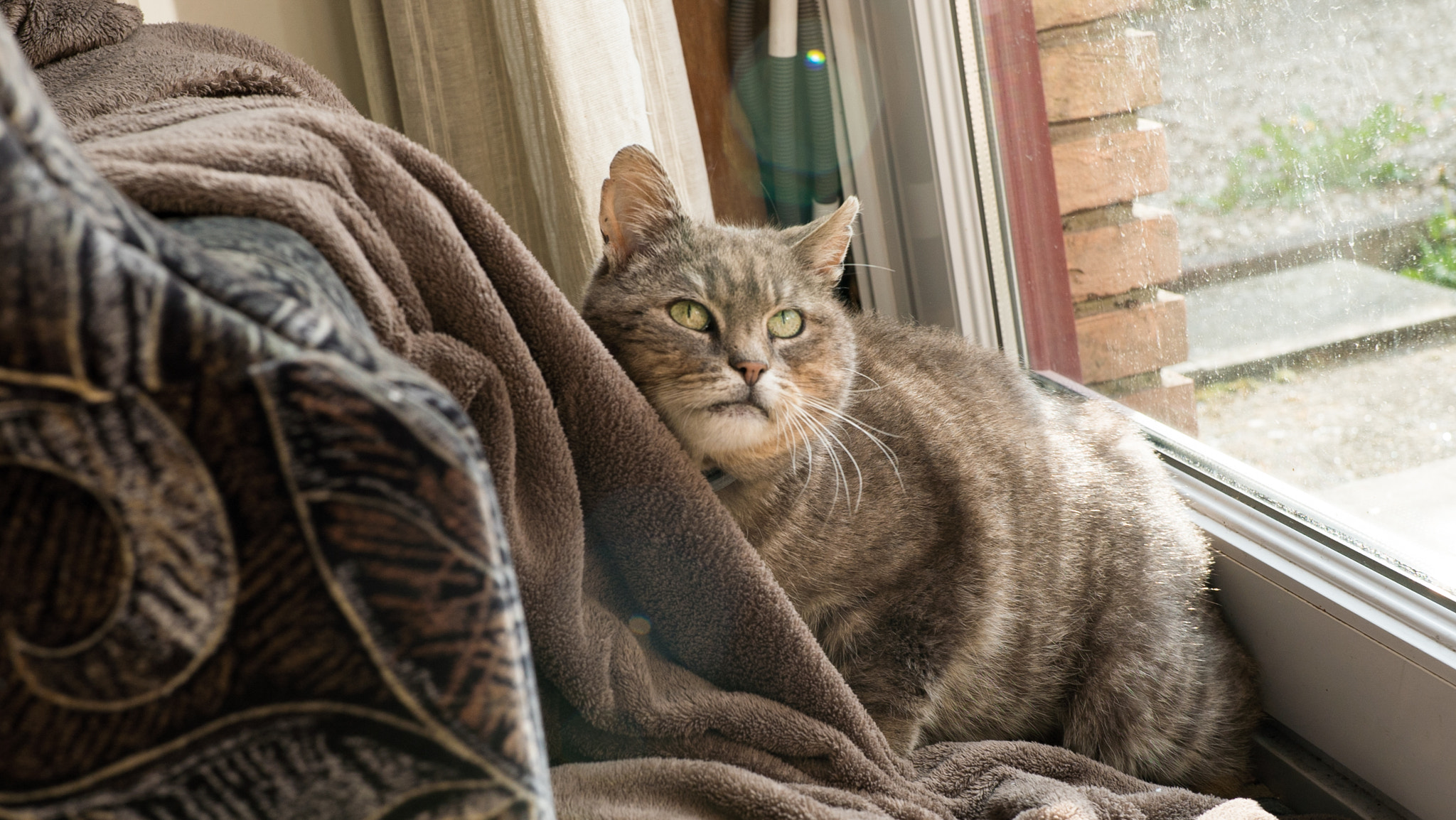 Sony a7S + Sony 70-400mm F4-5.6 G SSM sample photo. Dsc00869.jpg photography