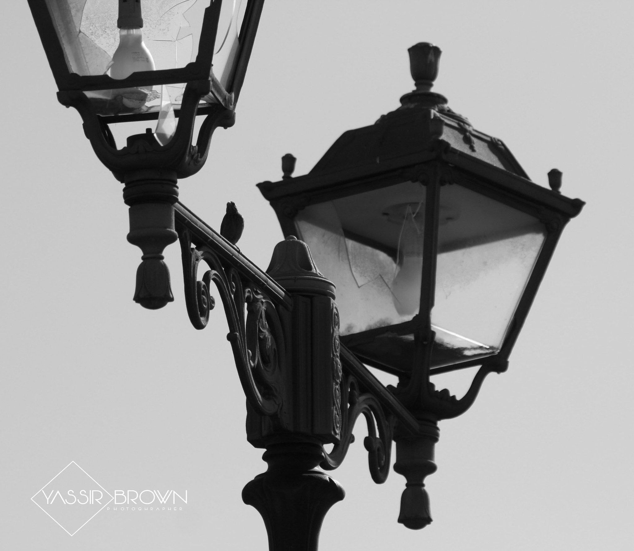 Canon EF 50-200mm f/3.5-4.5 sample photo. Yassir brown photography