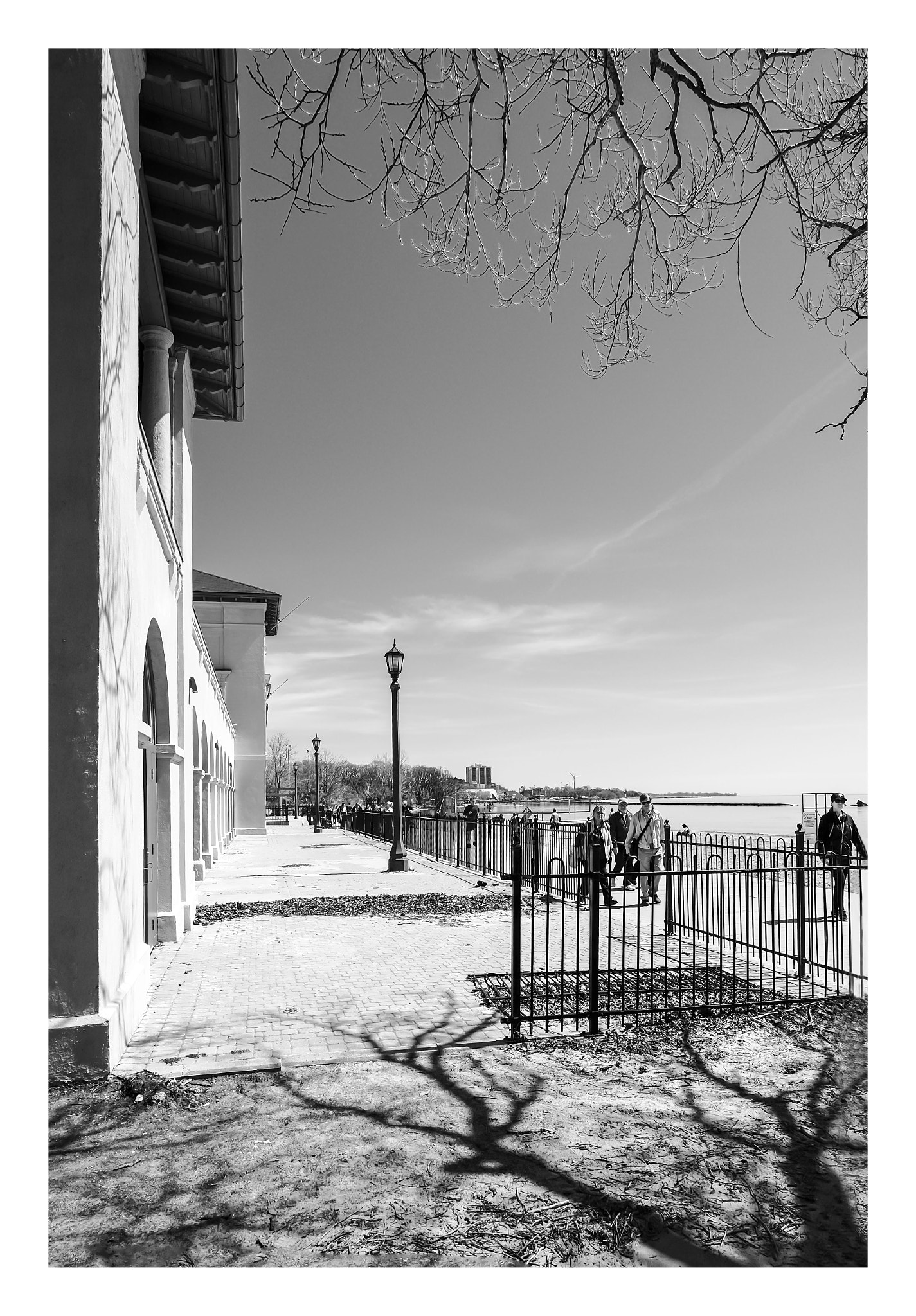 Fujifilm XC 16-50mm F3.5-5.6 OIS sample photo. Sunnyside up photography