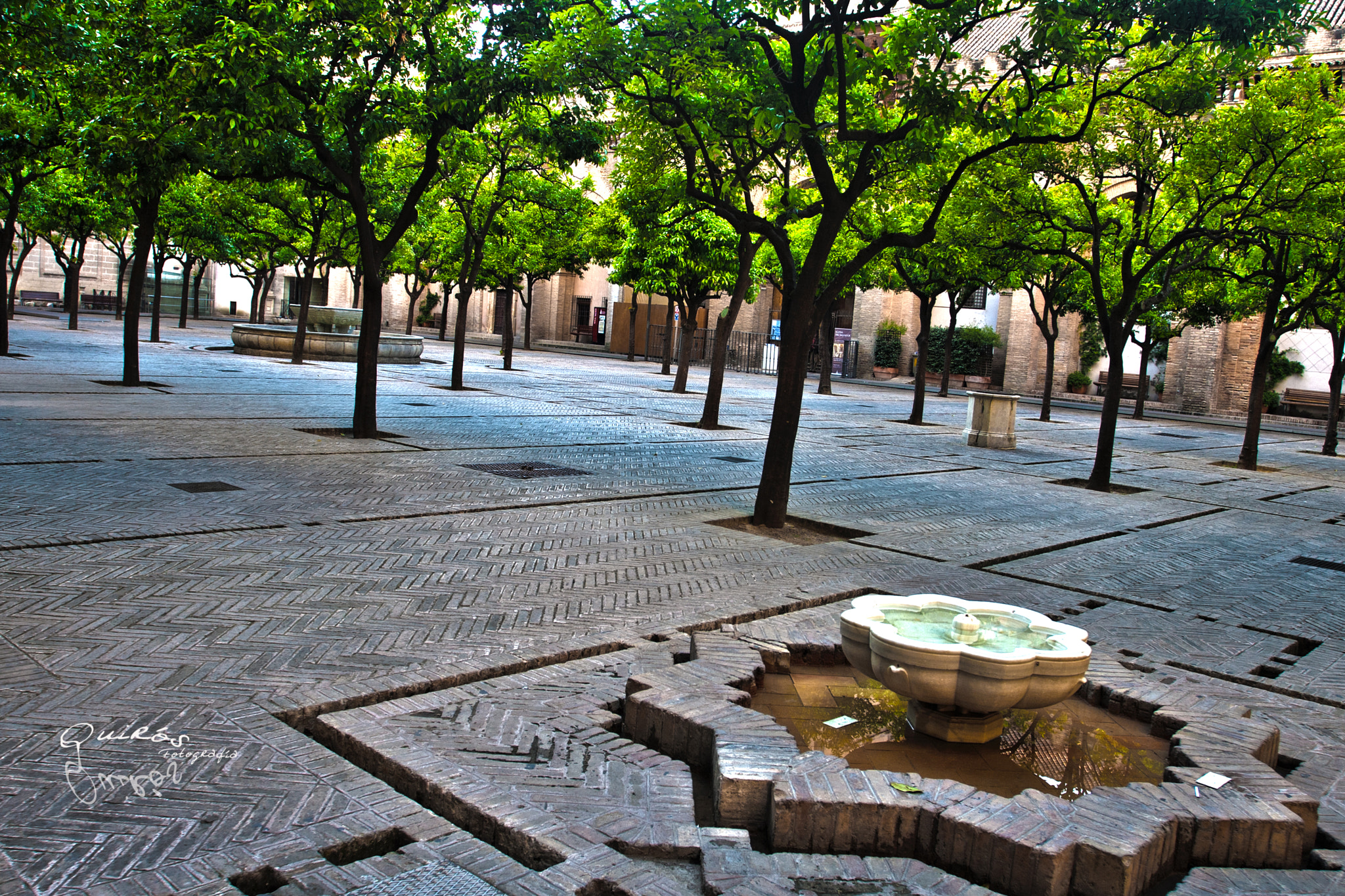 Canon EOS 30D + Canon EF 17-40mm F4L USM sample photo. A los pies de los naranjos photography