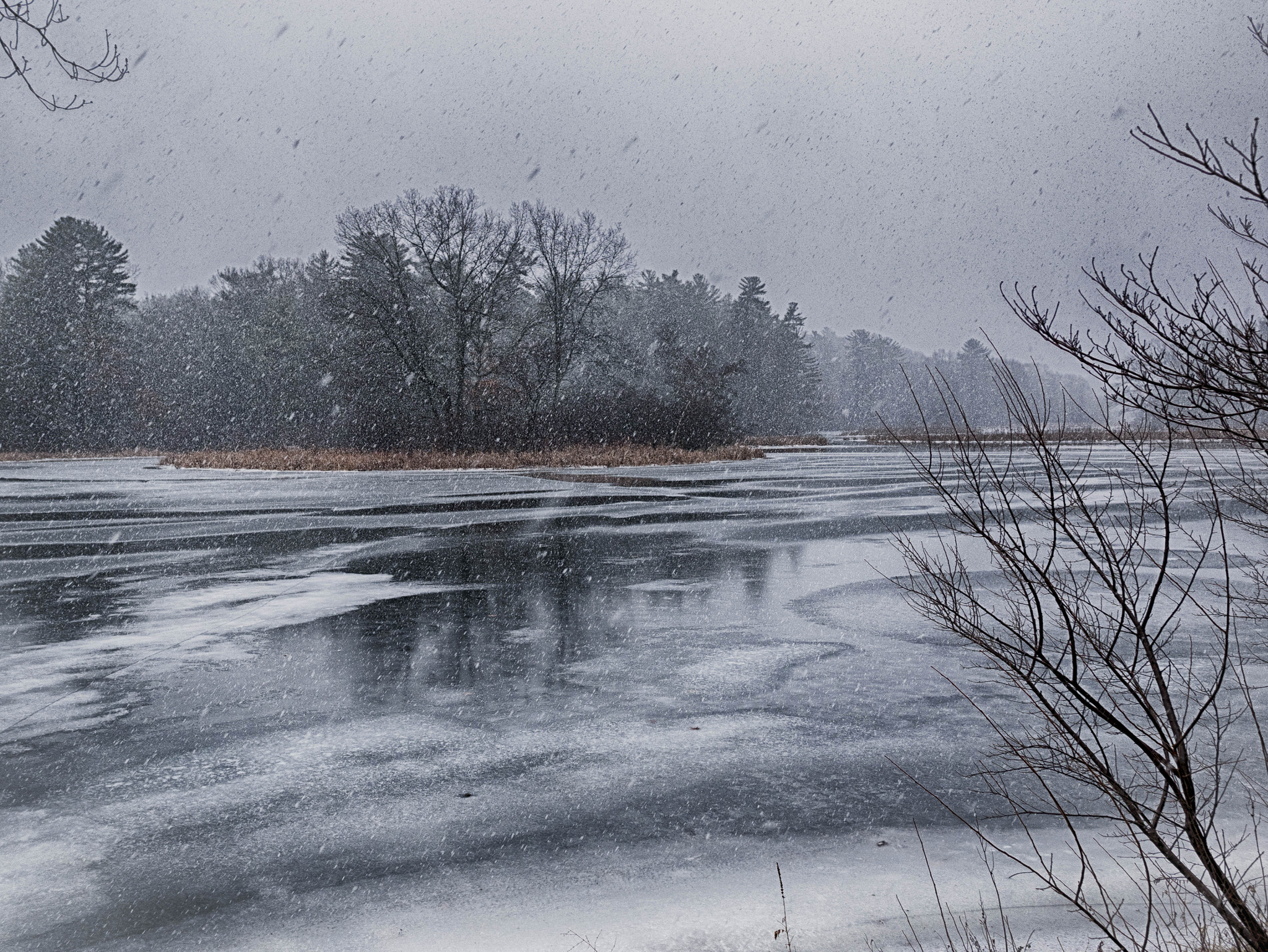 Panasonic Lumix DMC-GM1 + LEICA DG SUMMILUX 15/F1.7 sample photo. Winter snow... photography