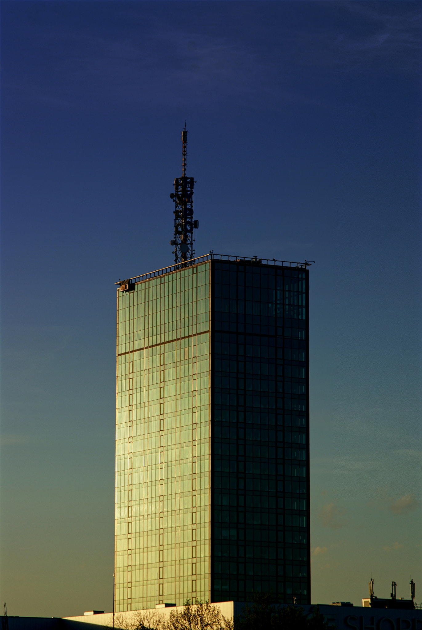 Minolta AF 35-105mm F3.5-4.5 New sample photo. Shaded photography