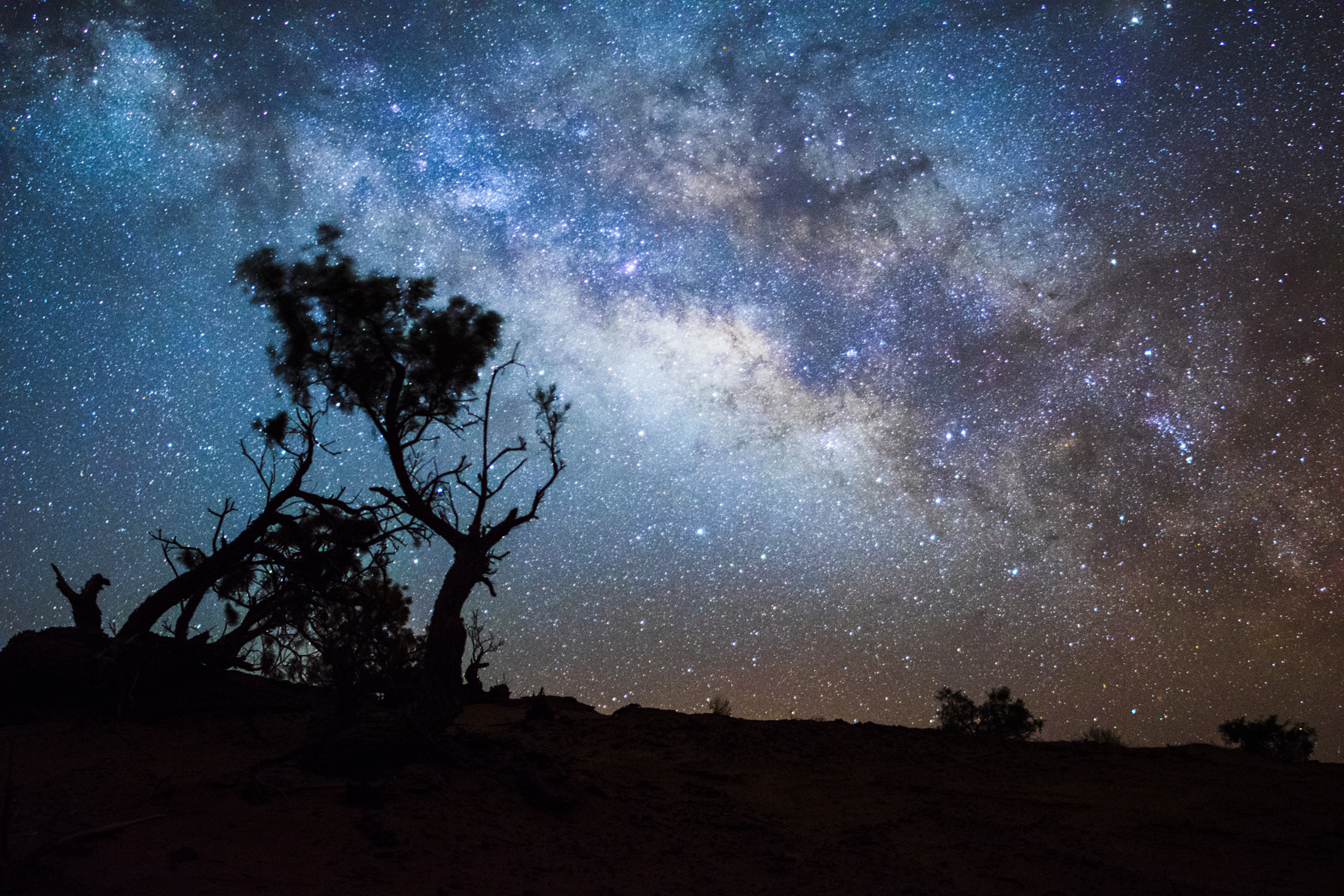 Nikon D5300 + Samyang 12mm F2.8 ED AS NCS Fisheye sample photo. A sky full of stars photography