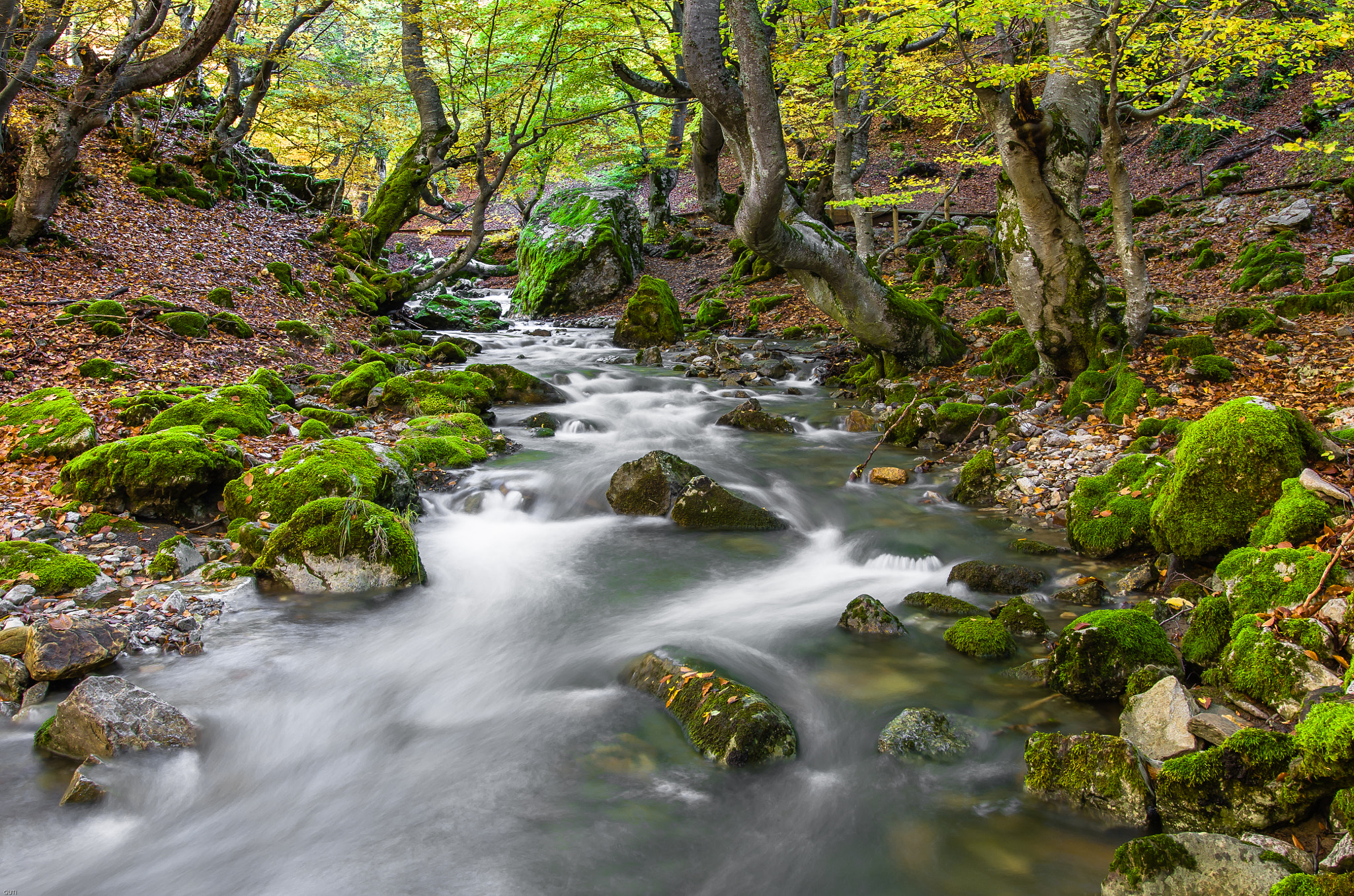 Pentax K-50 + Sigma 18-35mm F1.8 DC HSM Art sample photo. Hayedo photography