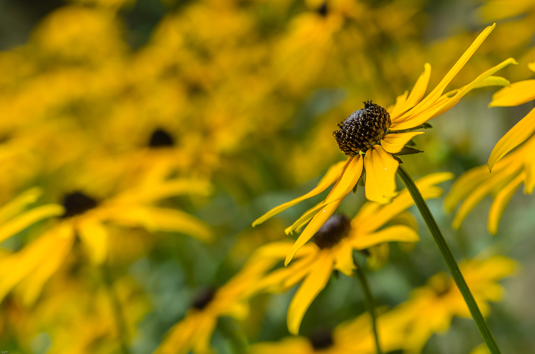 Pentax K-50 + Sigma 18-35mm F1.8 DC HSM Art sample photo