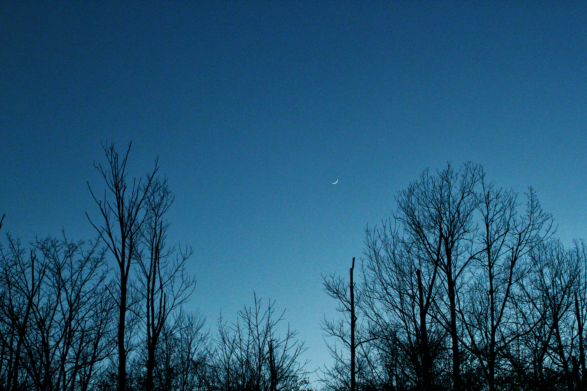 Canon EF-S 18-55mm F3.5-5.6 IS sample photo. Blue evening photography