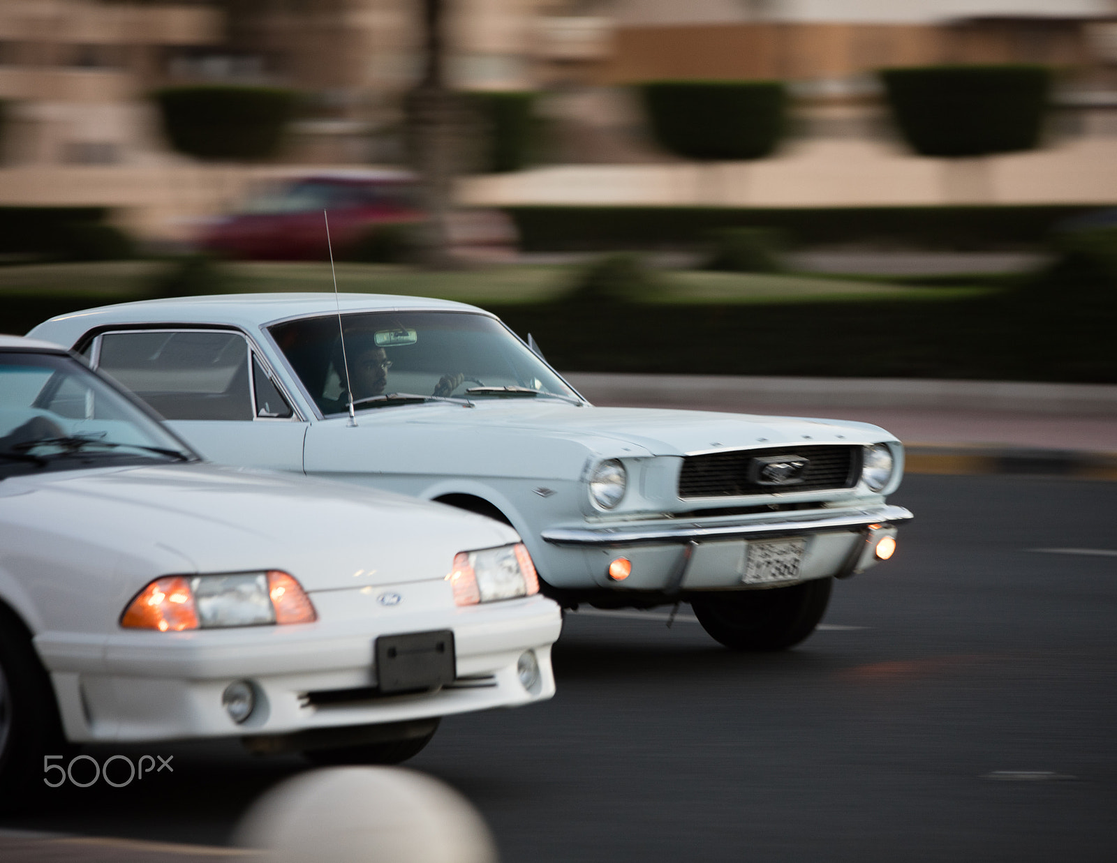 Canon EOS 5DS + Sigma 70-200mm F2.8 EX DG OS HSM sample photo. Ford mustang photography