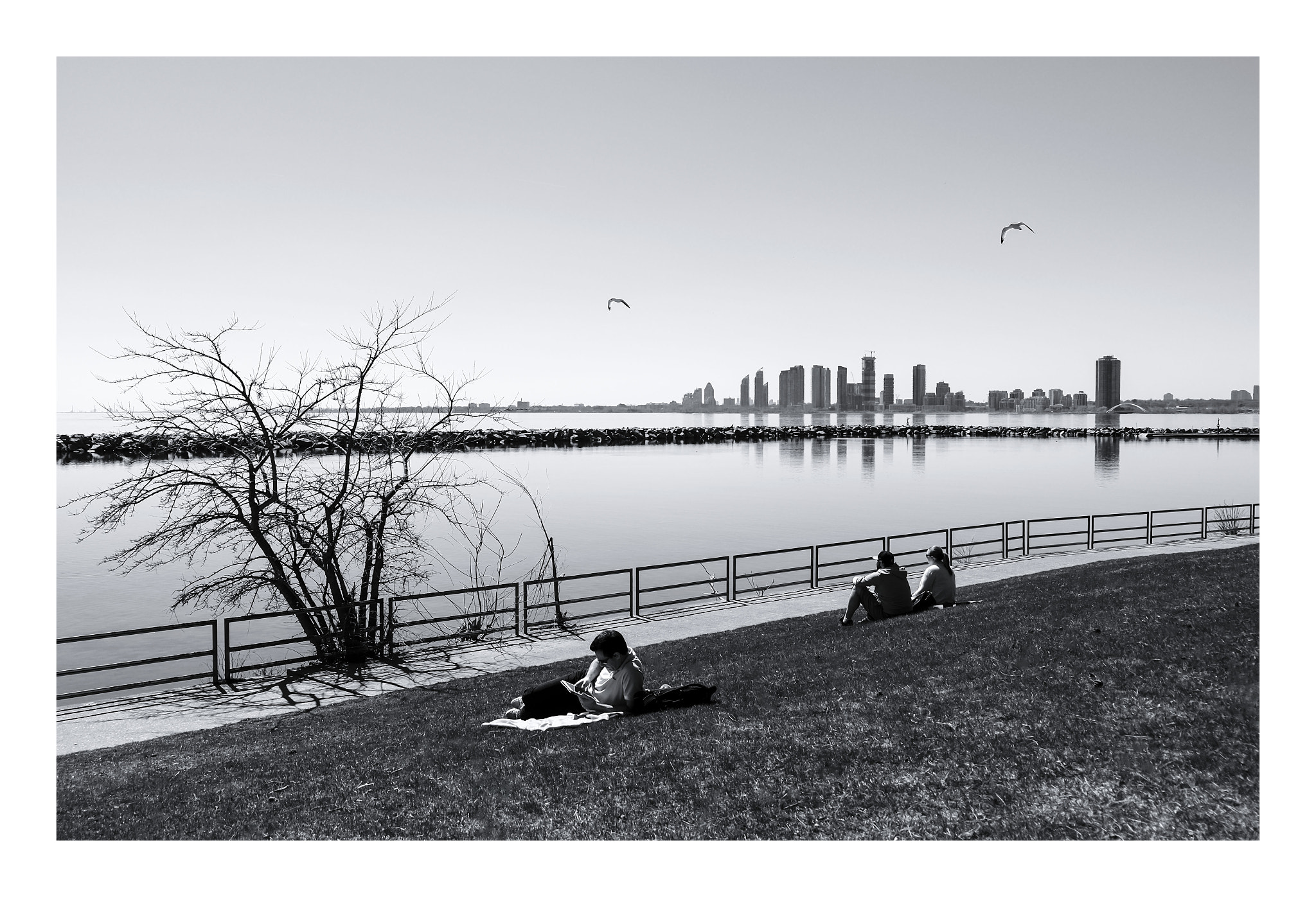 Fujifilm XC 16-50mm F3.5-5.6 OIS sample photo. That's the life photography