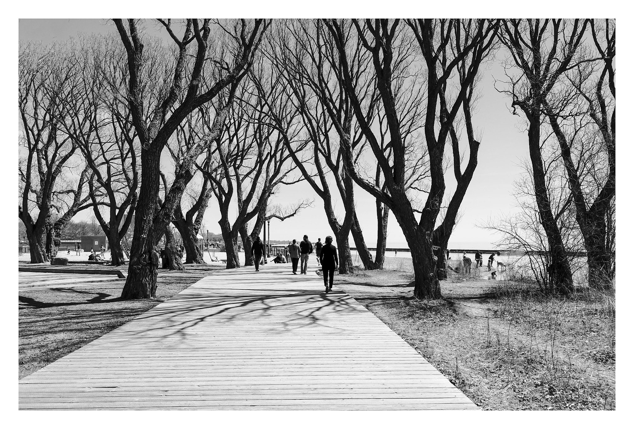 Fujifilm XC 16-50mm F3.5-5.6 OIS sample photo. Boardwalk photography