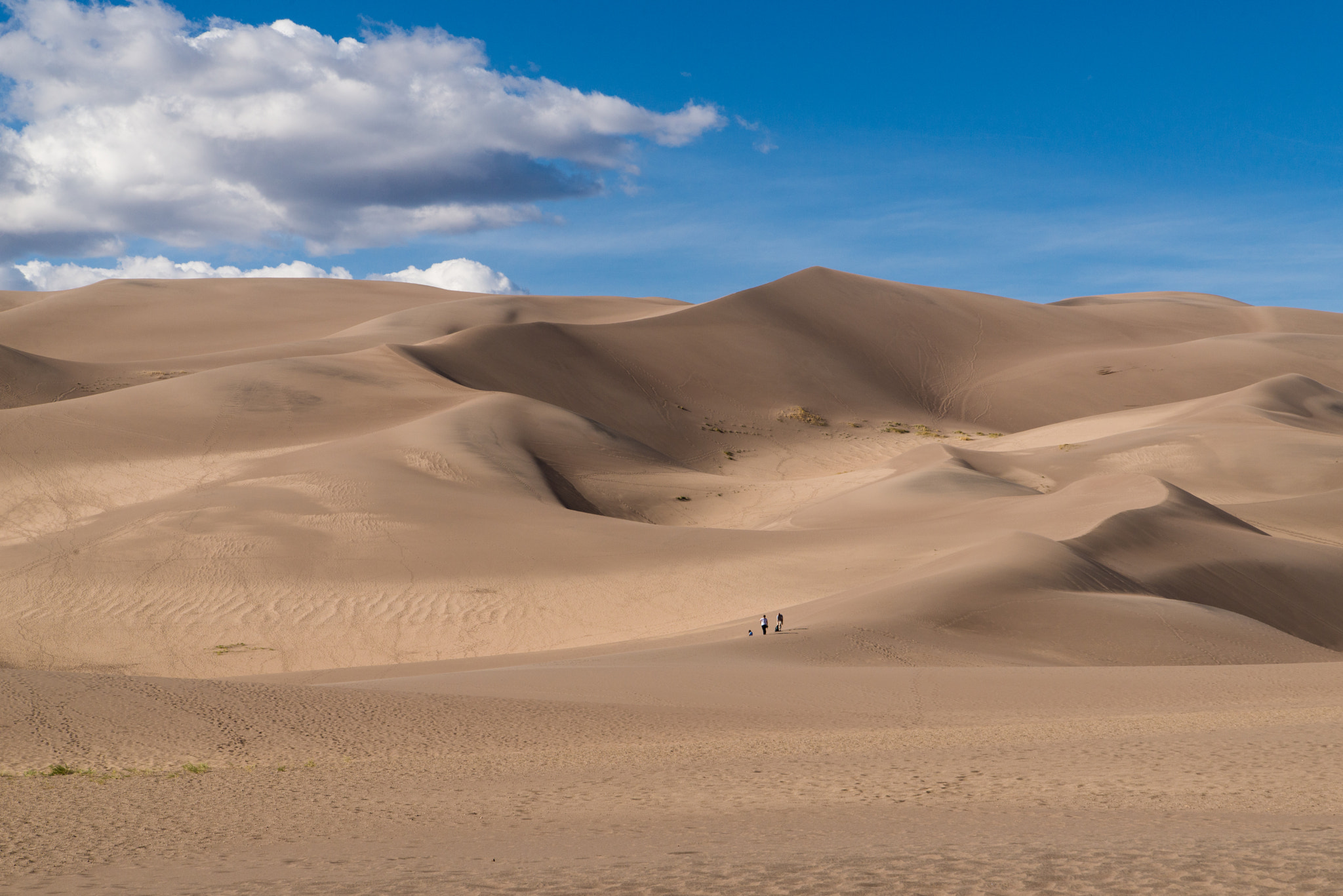 Nikon D600 + Tamron AF 28-75mm F2.8 XR Di LD Aspherical (IF) sample photo. San luis valley sand dunes photography