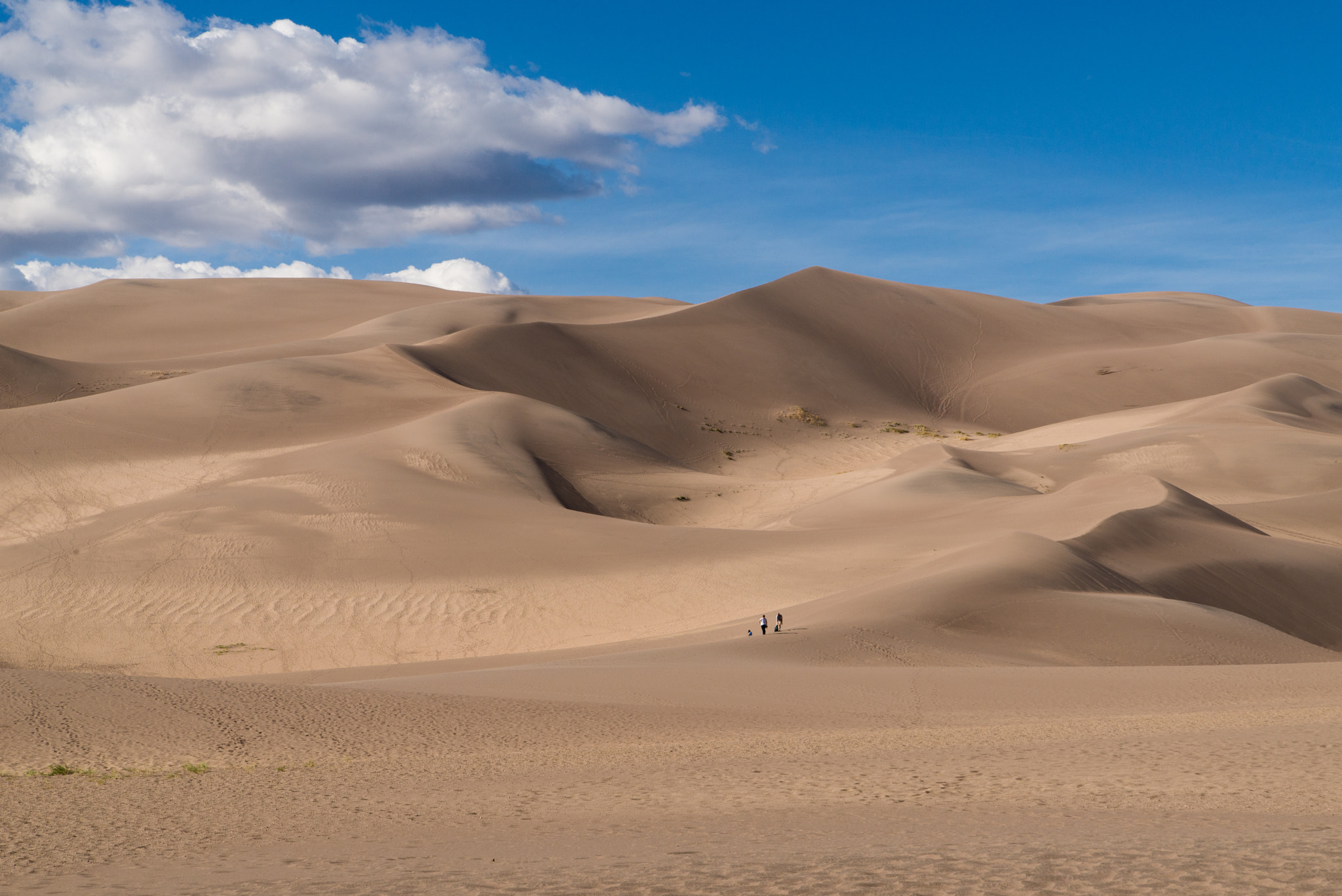 Nikon D600 sample photo. San luis valley sand dunes photography
