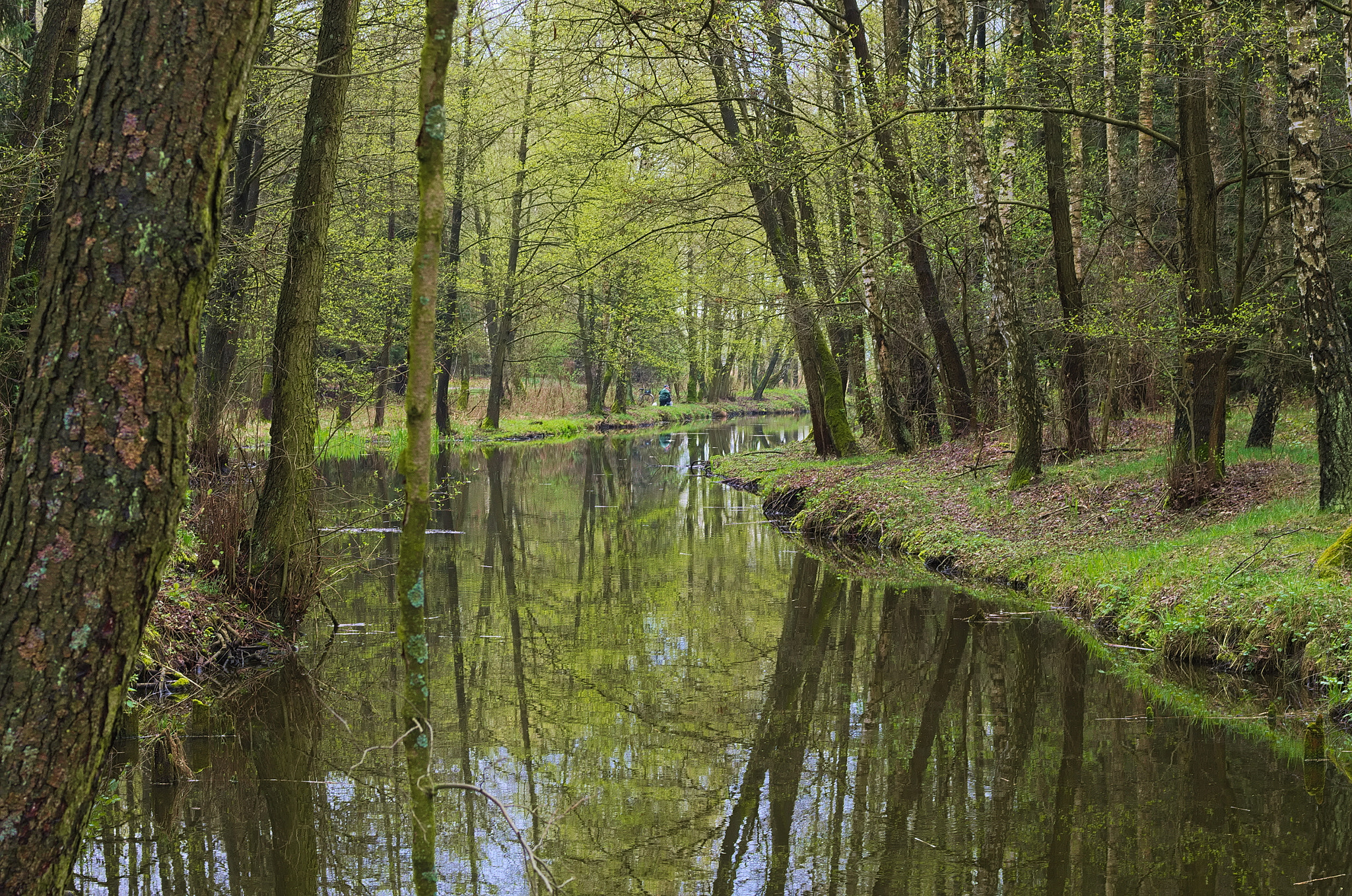 Pentax K-5 + smc PENTAX-FA Macro 50mm F2.8 sample photo. Tributary of mała wełna photography