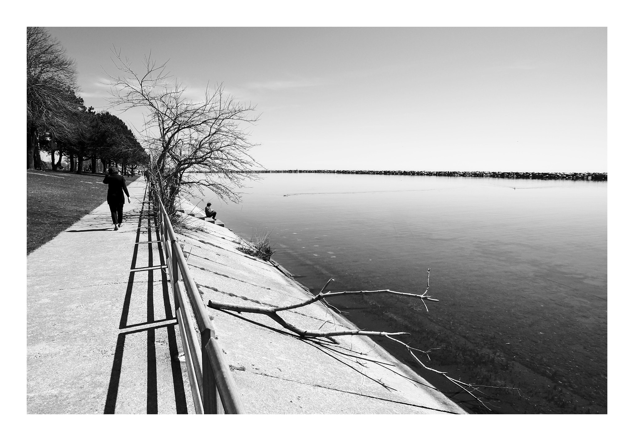 Fujifilm XC 16-50mm F3.5-5.6 OIS sample photo. Stretch photography