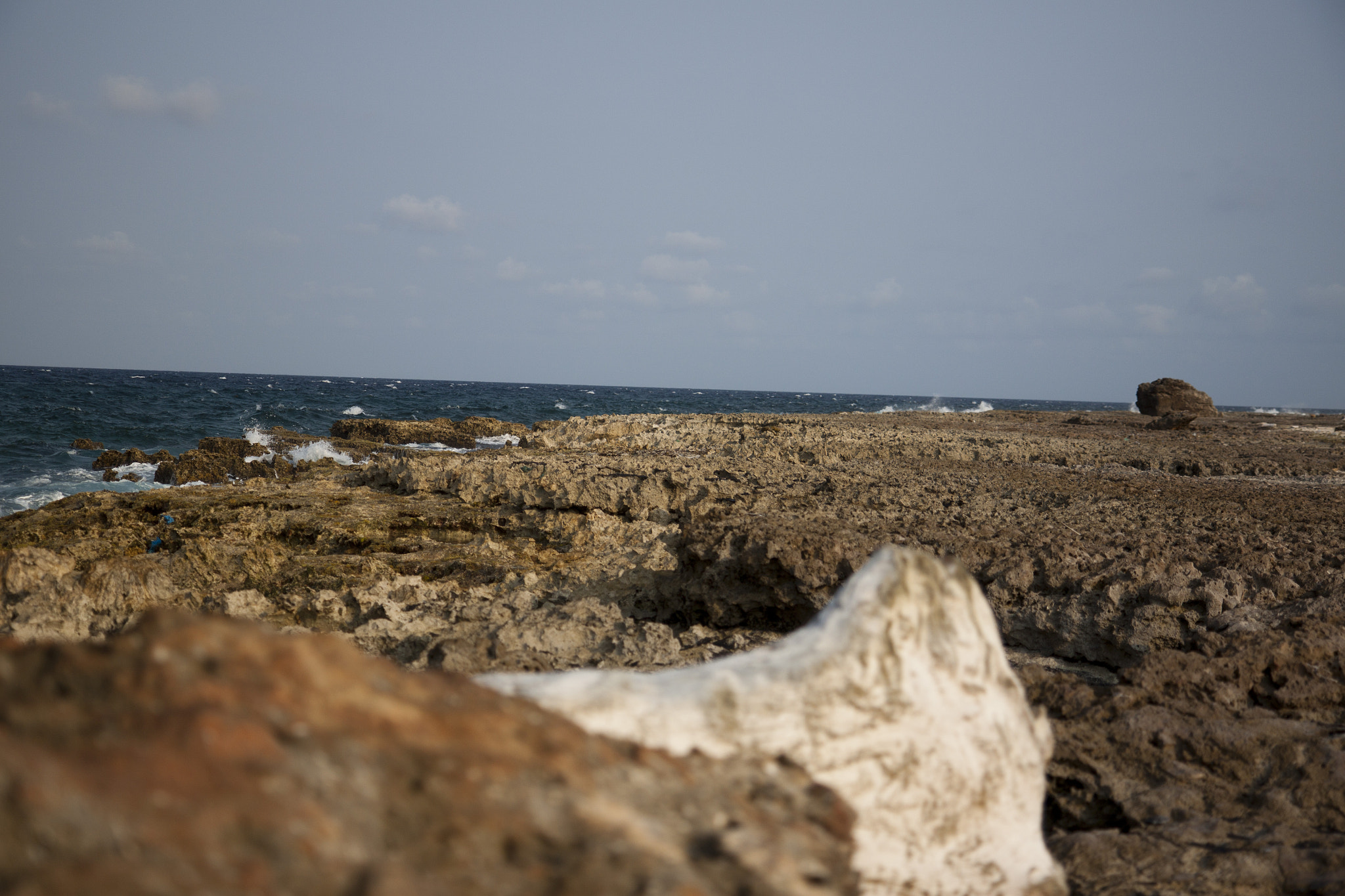 Canon EOS 500D (EOS Rebel T1i / EOS Kiss X3) sample photo. Ocean view photography