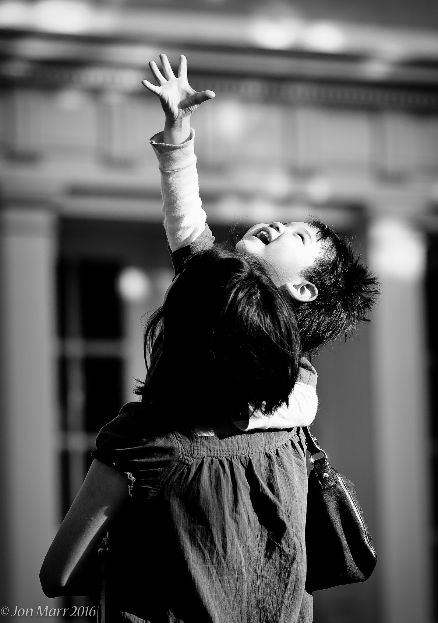 Nikon AF-S Nikkor 200mm F2G ED-IF VR sample photo. Never stop reaching for your dreams photography