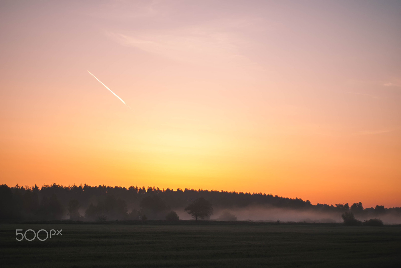 AF Nikkor 50mm f/1.8 N sample photo. Sunrise over the forest in the fog photography