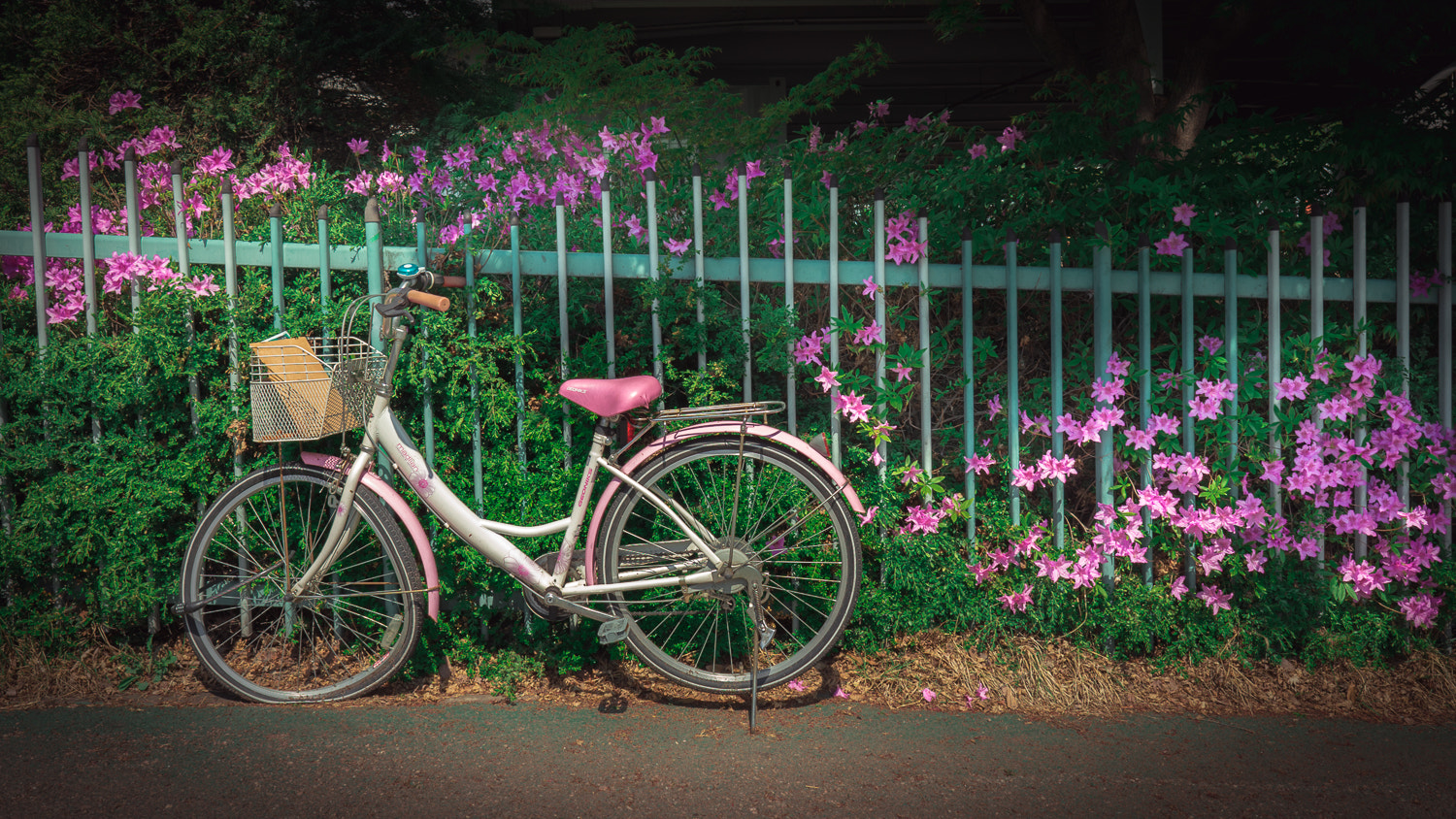 ZEISS Batis 25mm F2 sample photo. Flower bycicle photography