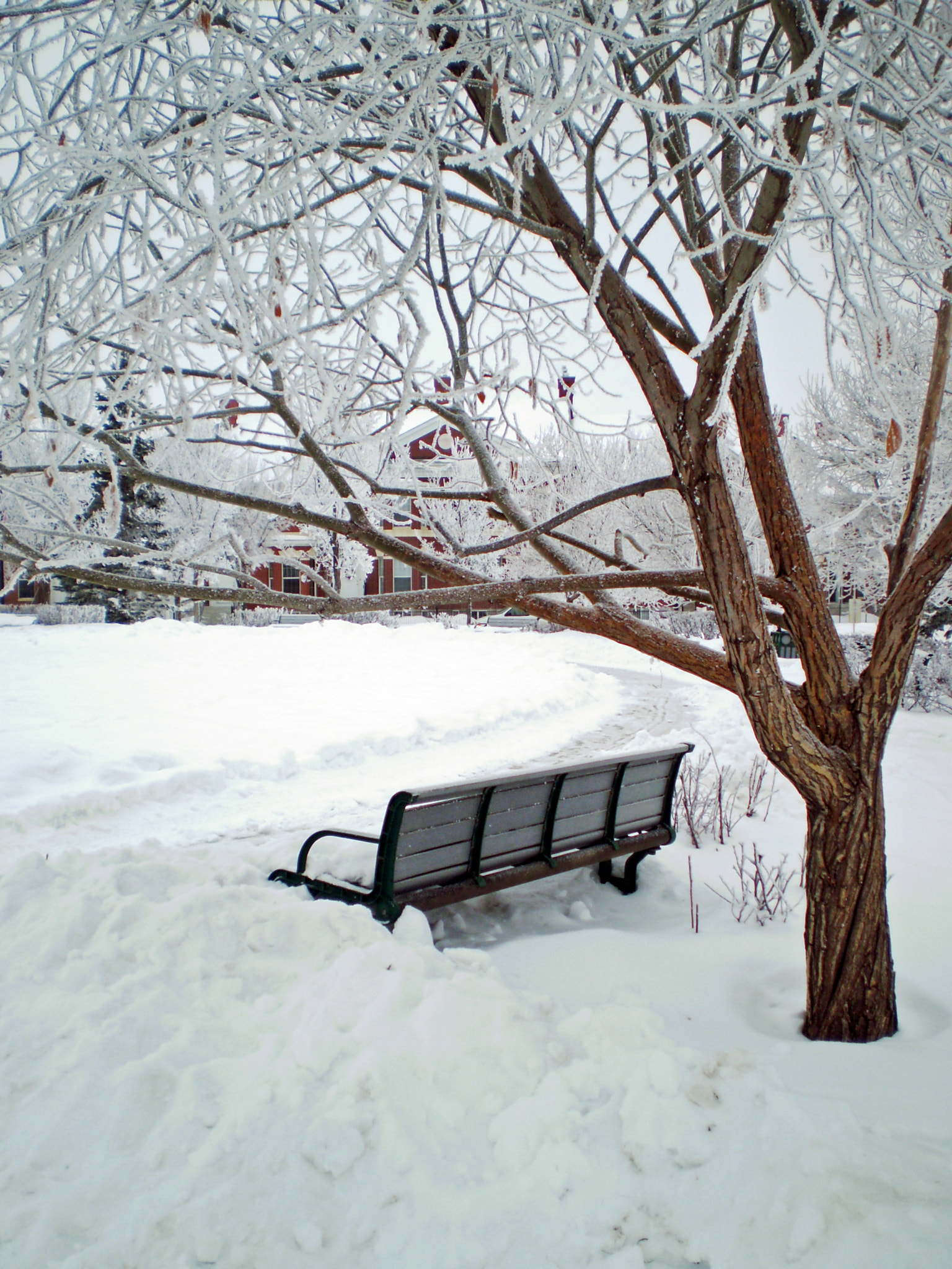 Olympus FE210,X775 sample photo. Winter solitude photography