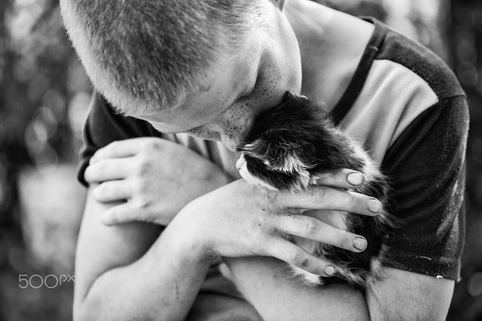 Nikon D3X sample photo. A boy with a kitten photography