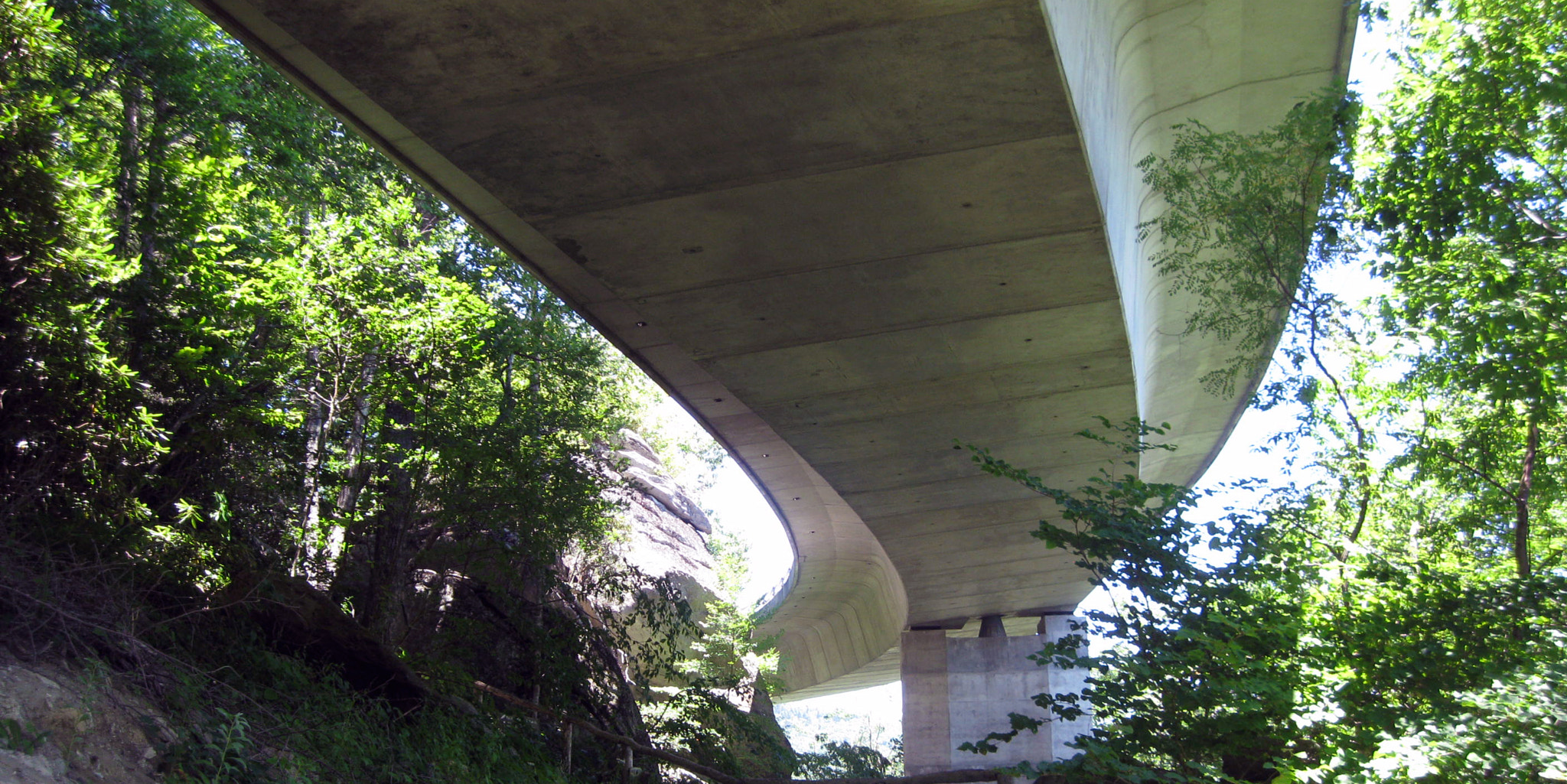 Canon PowerShot A1000 IS sample photo. Under linn cove viaduct photography