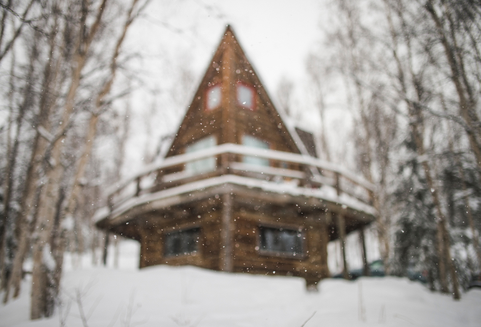 Nikon Df + Sigma 35mm F1.4 DG HSM Art sample photo. Cabin love. photography