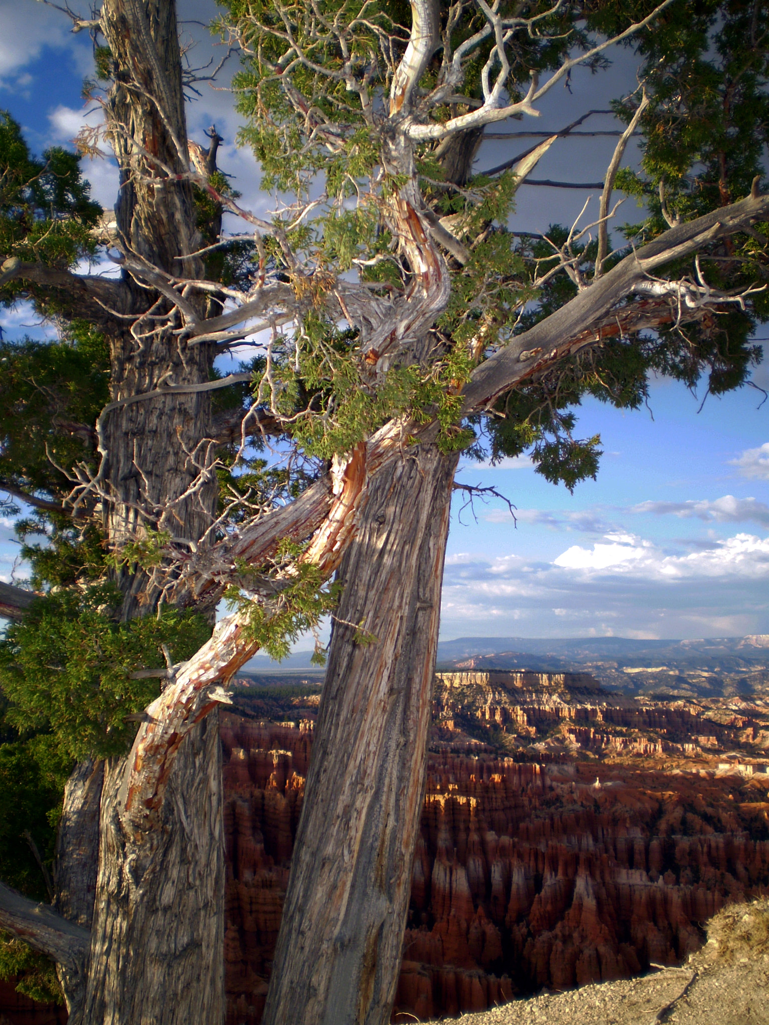 Olympus FE210,X775 sample photo. Sunset bryce canyon photography