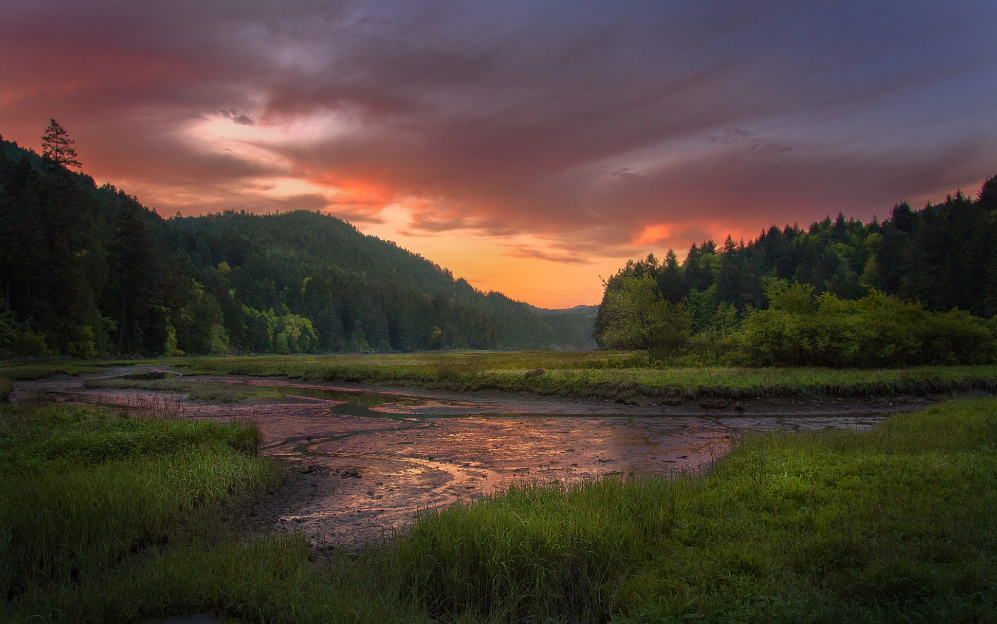 Pentax K-50 + Sigma 18-35mm F1.8 DC HSM Art sample photo. Sunset photography