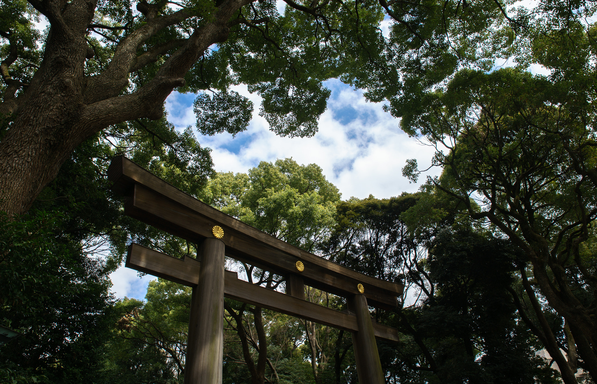 Sony a7 II + Tamron SP 24-70mm F2.8 Di VC USD sample photo. Tori gate meiji shrine tokyo photography