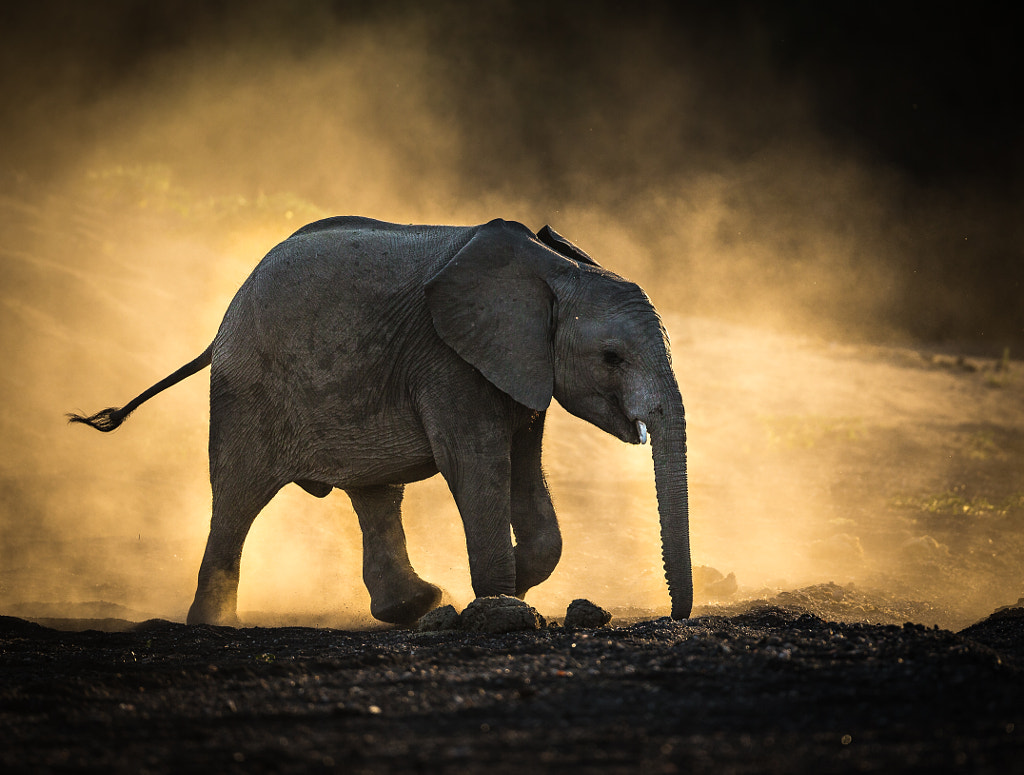 Descending Ellie by Jaco Marx on 500px.com