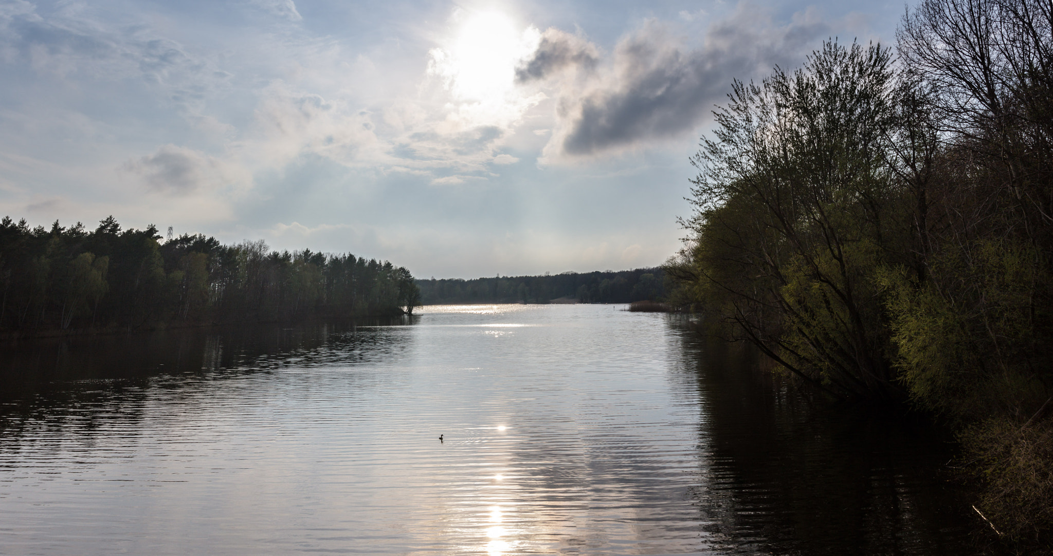 Sigma 24-105mm f/4 DG OS HSM | A sample photo. Flughafensee photography