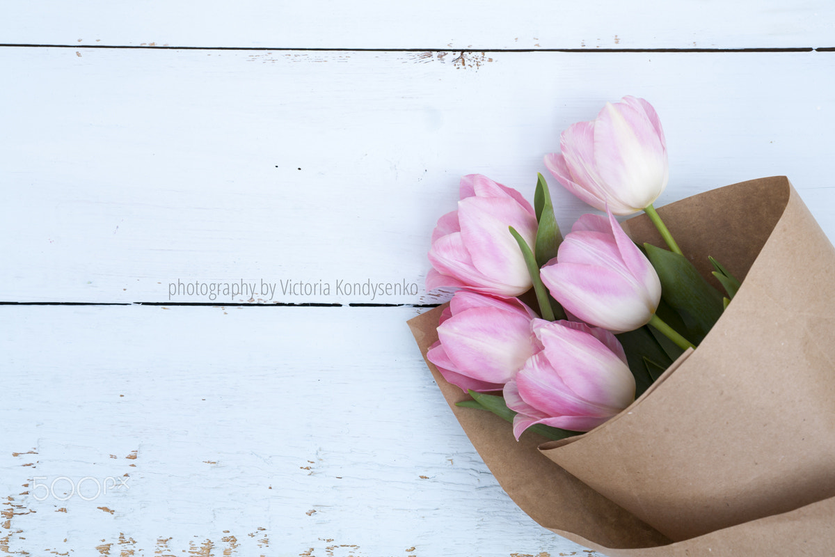 Canon EOS 1000D (EOS Digital Rebel XS / EOS Kiss F) + Canon EF-S 17-55mm F2.8 IS USM sample photo. Beautiful bouquet of pink tulips in paper on light wooden backgr photography