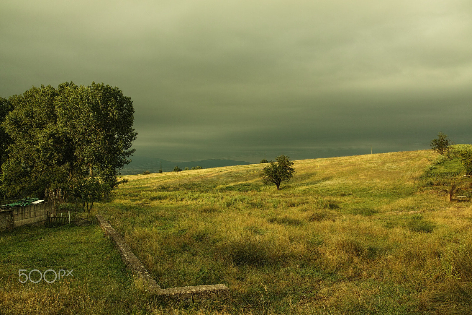 Sigma 19mm F2.8 sample photo. Melancholy photography